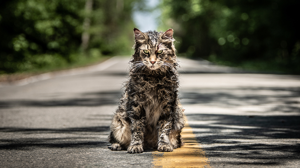 Pet Sematary Falls Short of Its Potential