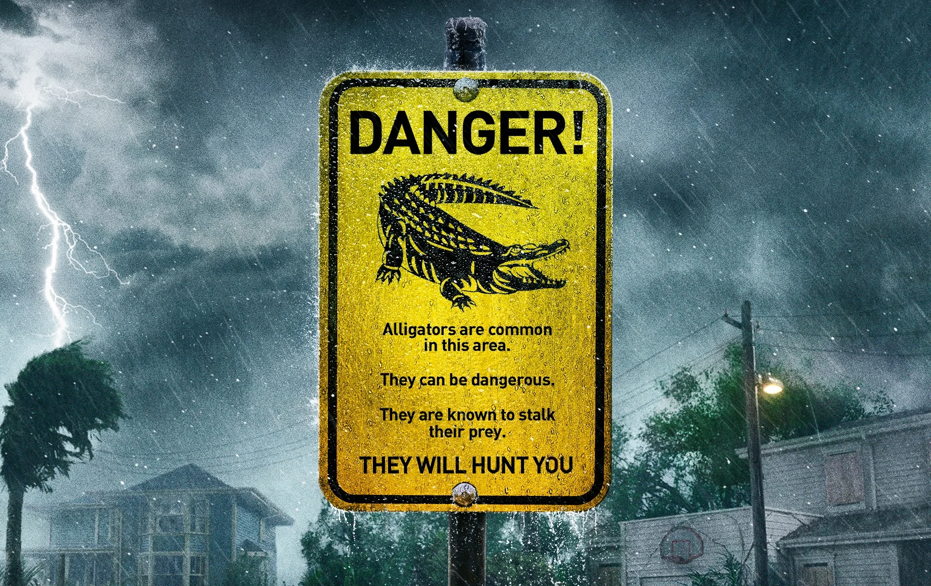 Crawl - A Tight, Tense Creature Feature in Dirty Florida Flood Water