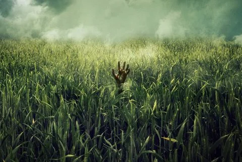 In the Tall Grass - Lures You into Its Maze and Doesn't Let Go