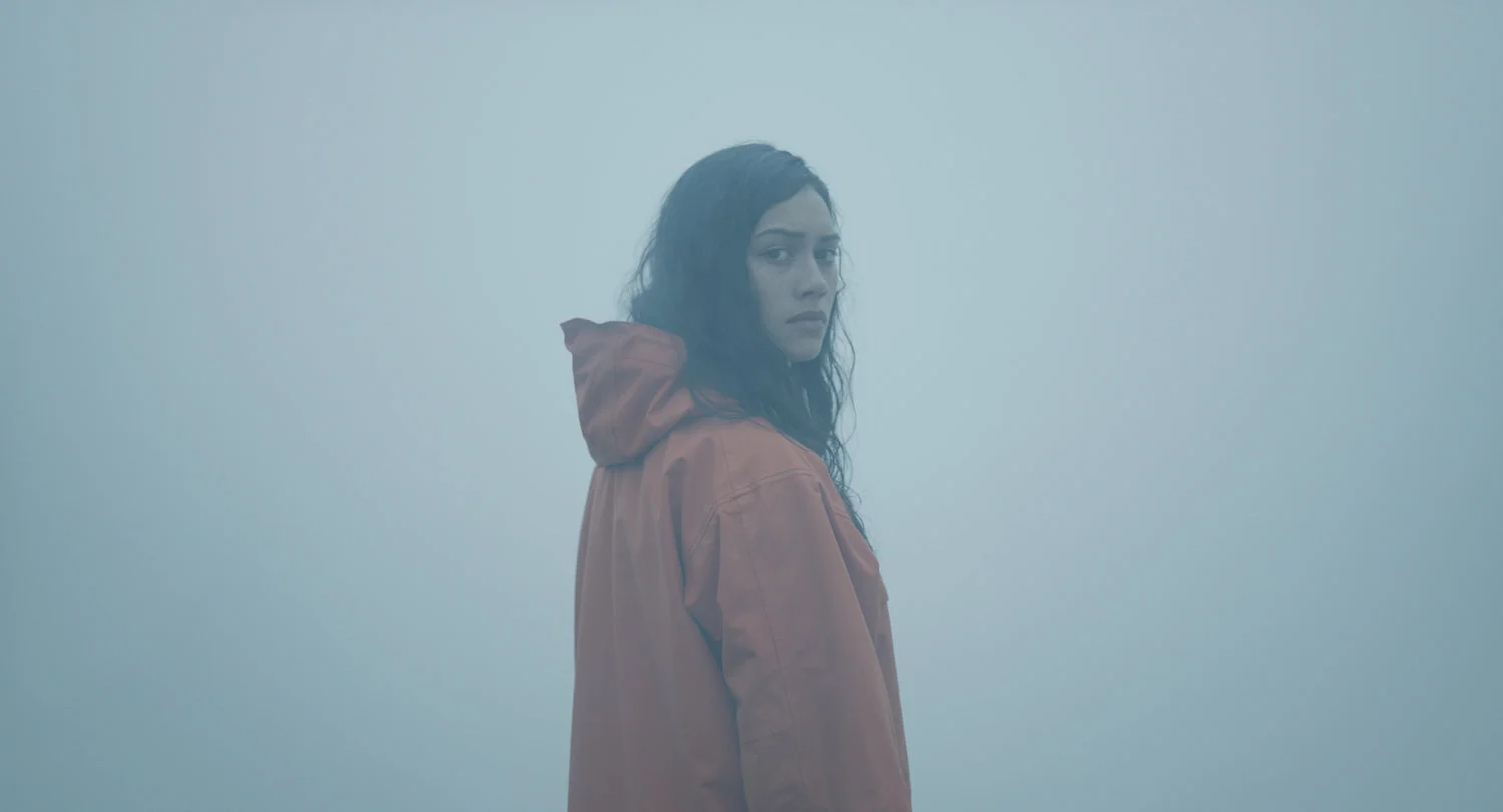 Stray is a Slow and Meditative New Zealand Arthouse Movie