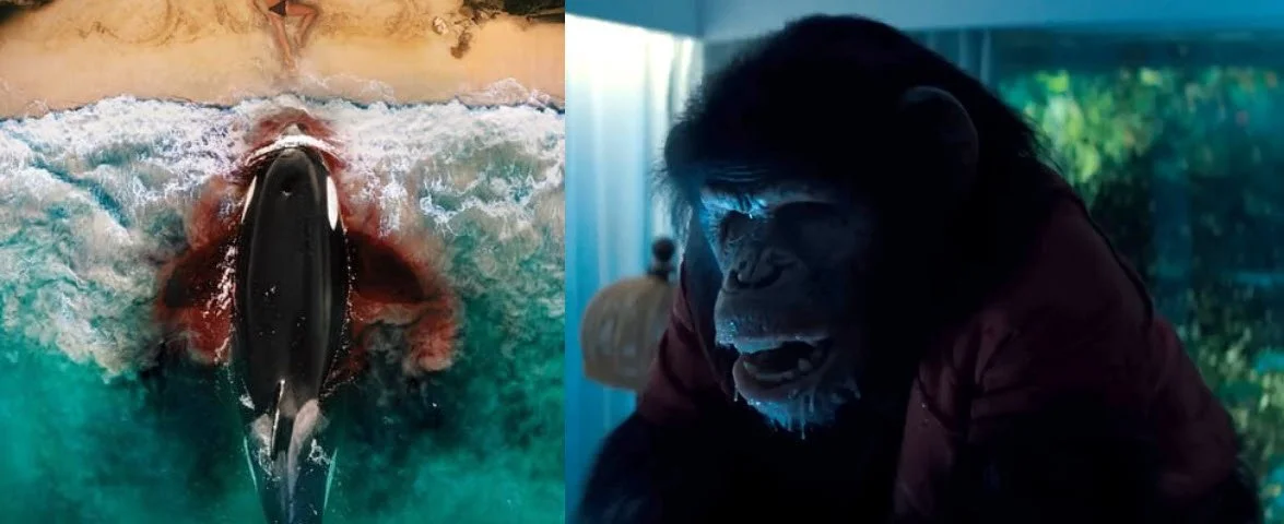 Creature Feature Showdown: 'Primate' vs 'Killer Whale'