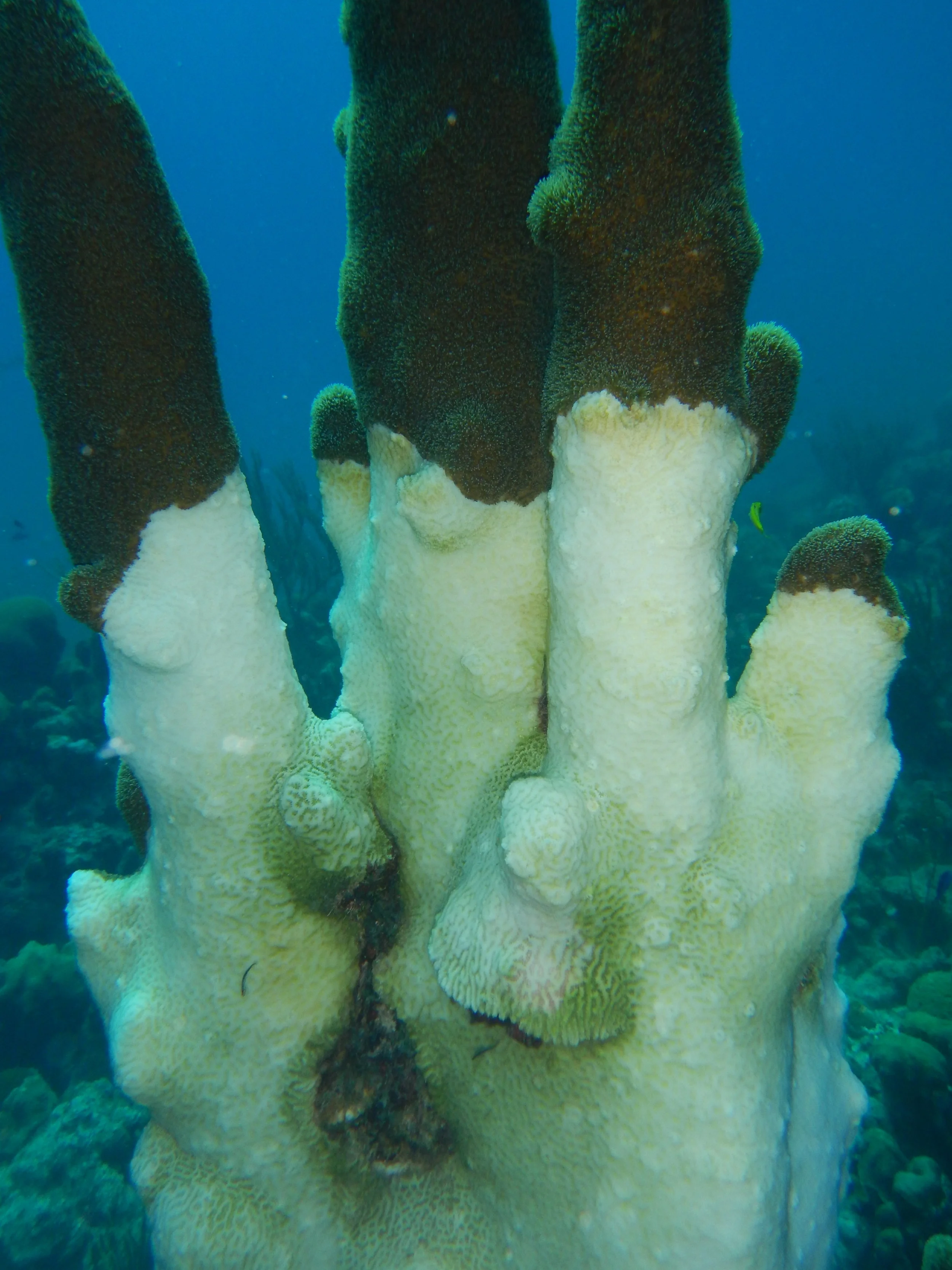 DSCN3015.JPG