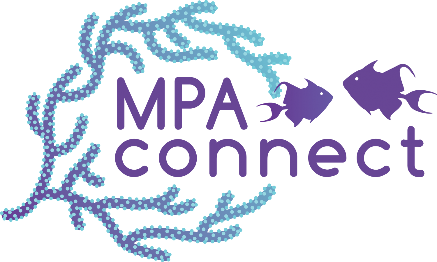 MPA-Connect_HiRes-1500x902.png