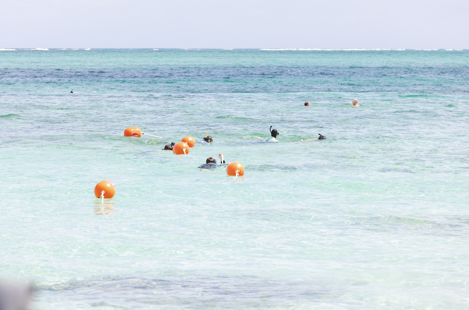 Volunteers replacing Bight Reef Swim Circle