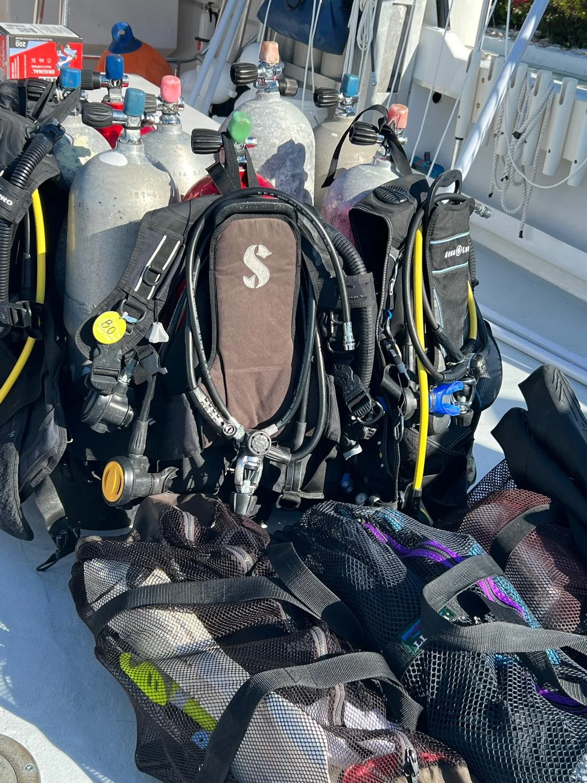 WhatsApp Image 2026-02-22 at 20.24.24 (1).jpeg