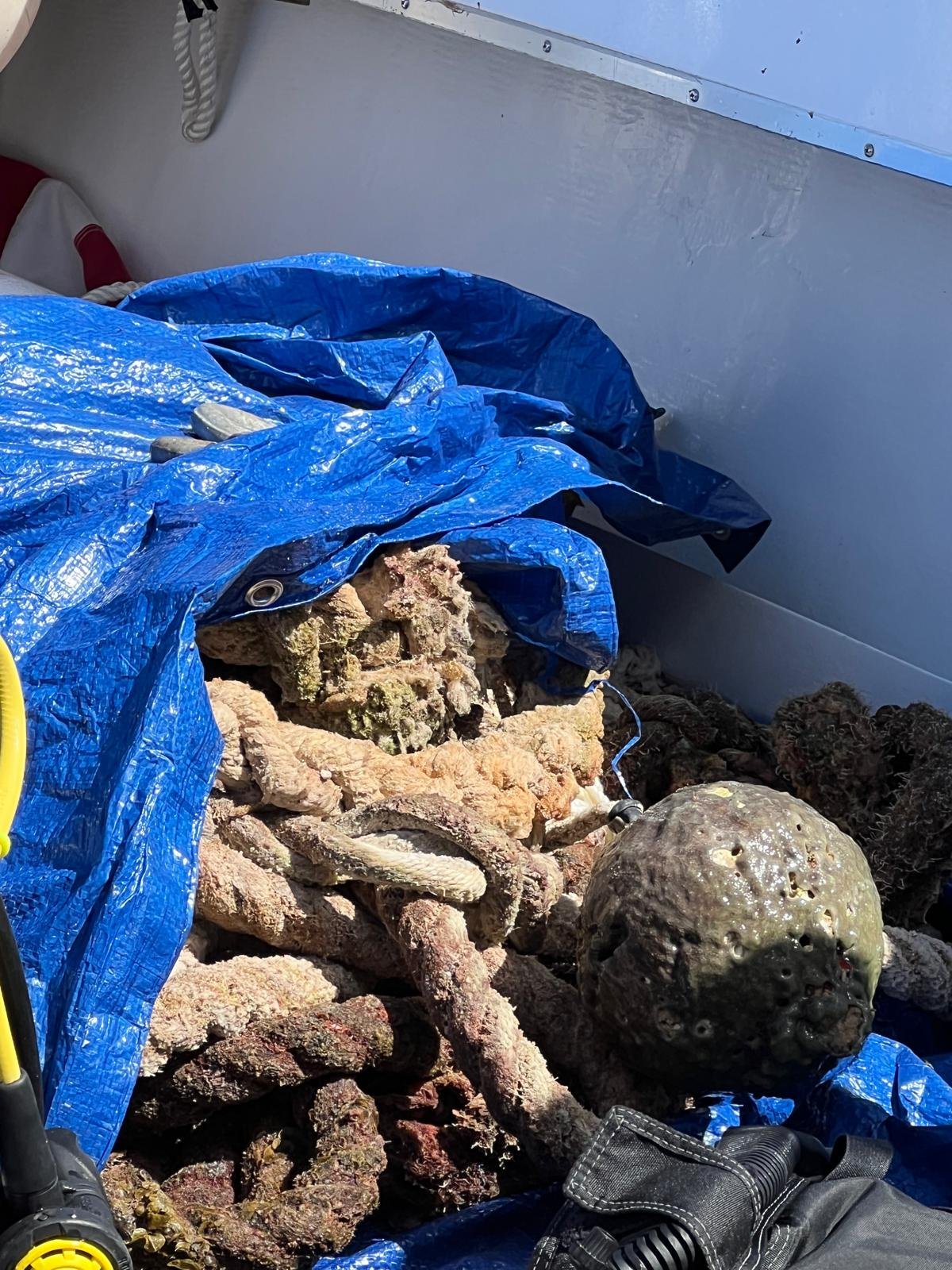 WhatsApp Image 2026-02-22 at 20.24.24 (9).jpeg