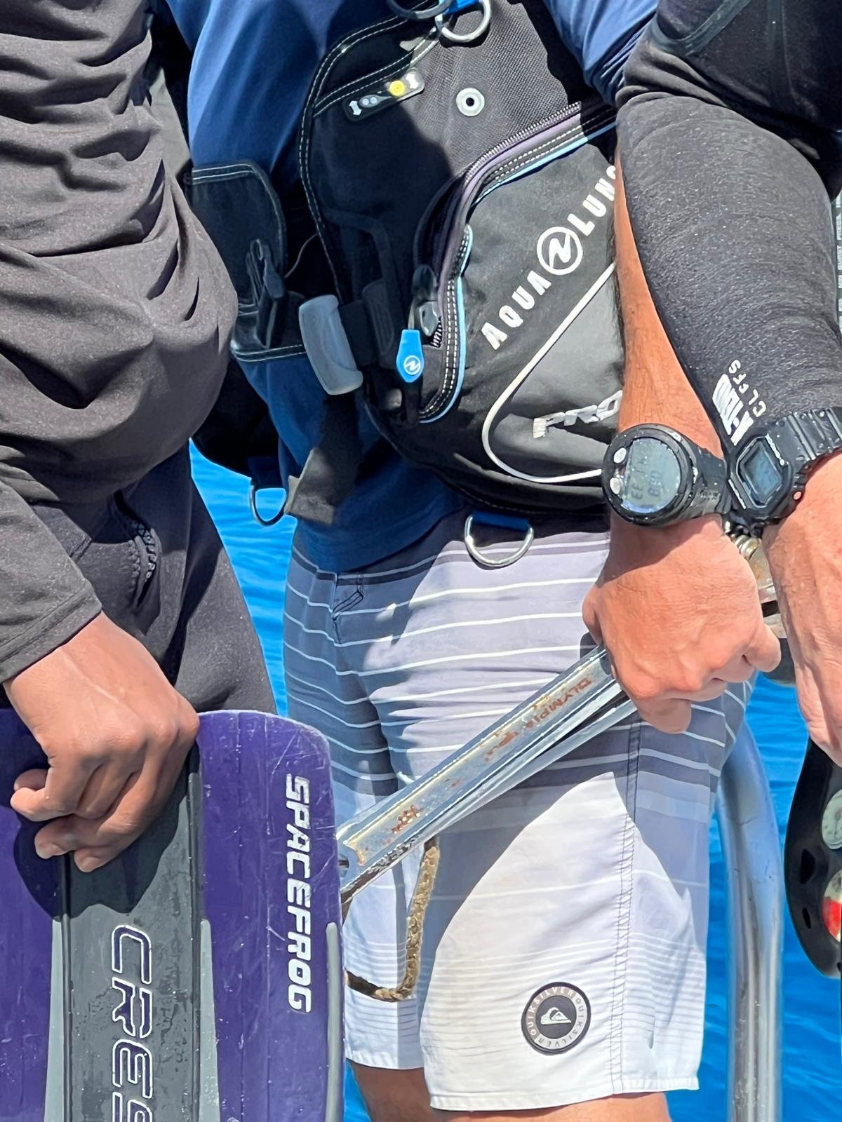 WhatsApp Image 2026-02-22 at 20.24.24 (12).jpeg