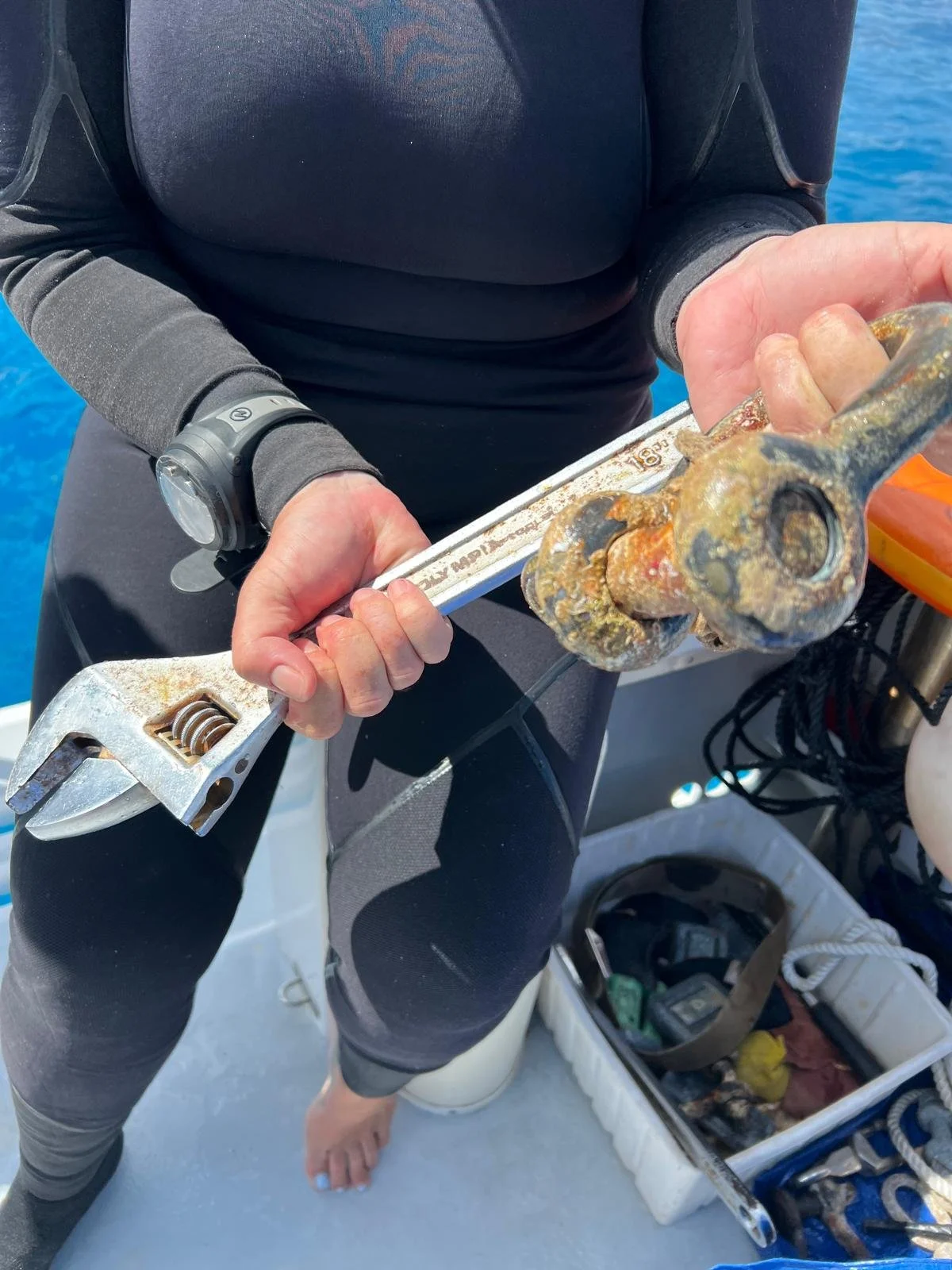 WhatsApp Image 2026-02-22 at 20.24.24 (13).jpeg