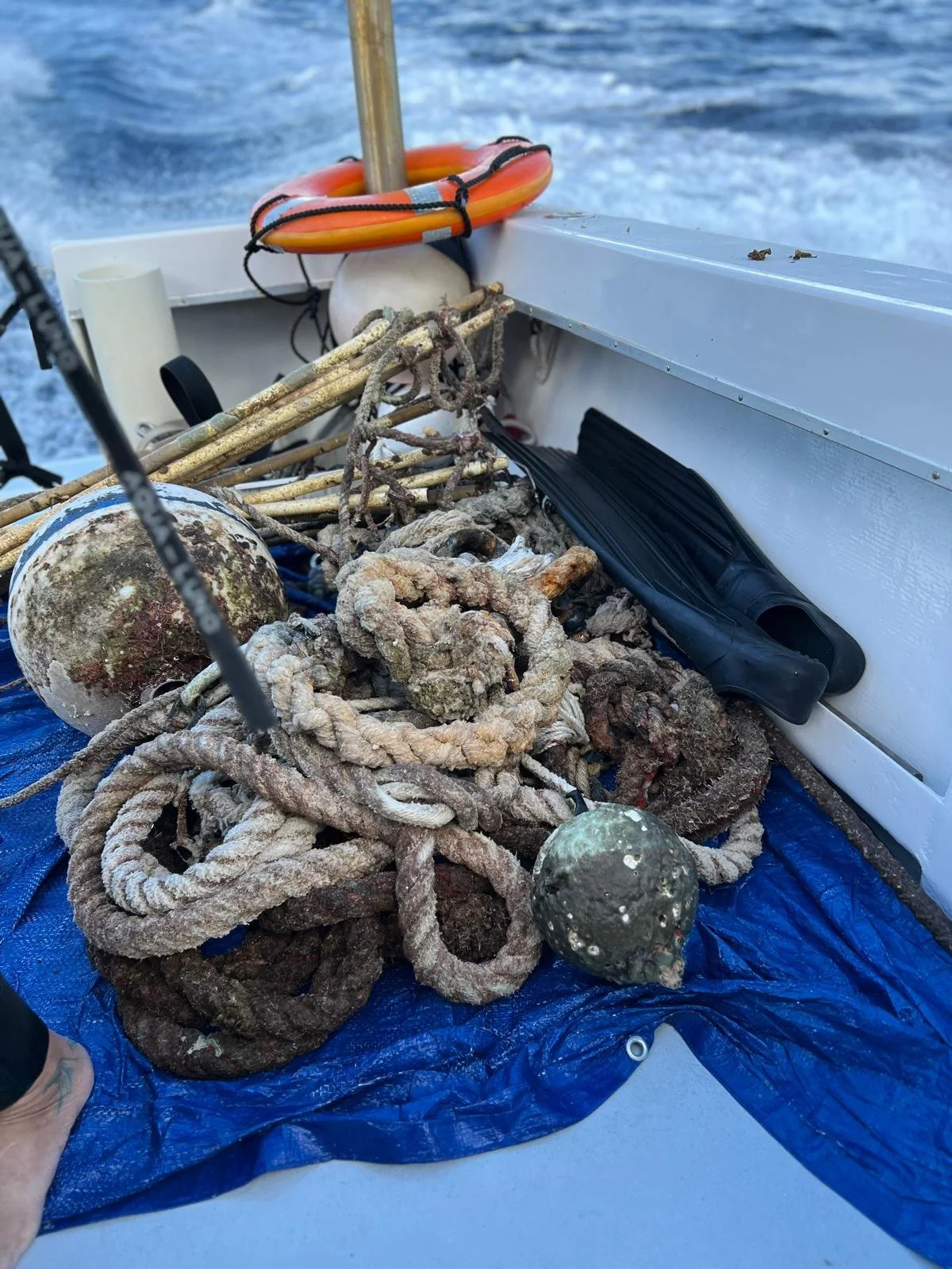 WhatsApp Image 2026-02-22 at 20.24.25 (9).jpeg