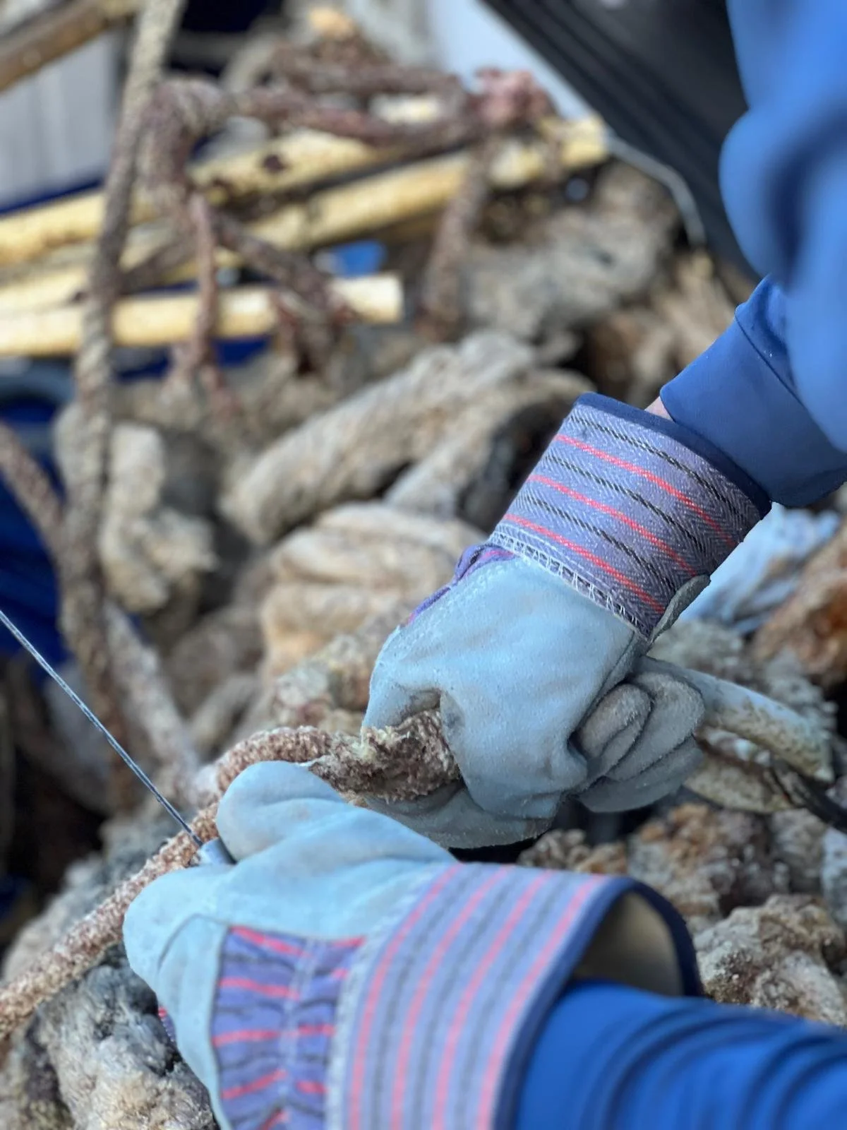 WhatsApp Image 2026-02-22 at 20.24.25 (10).jpeg