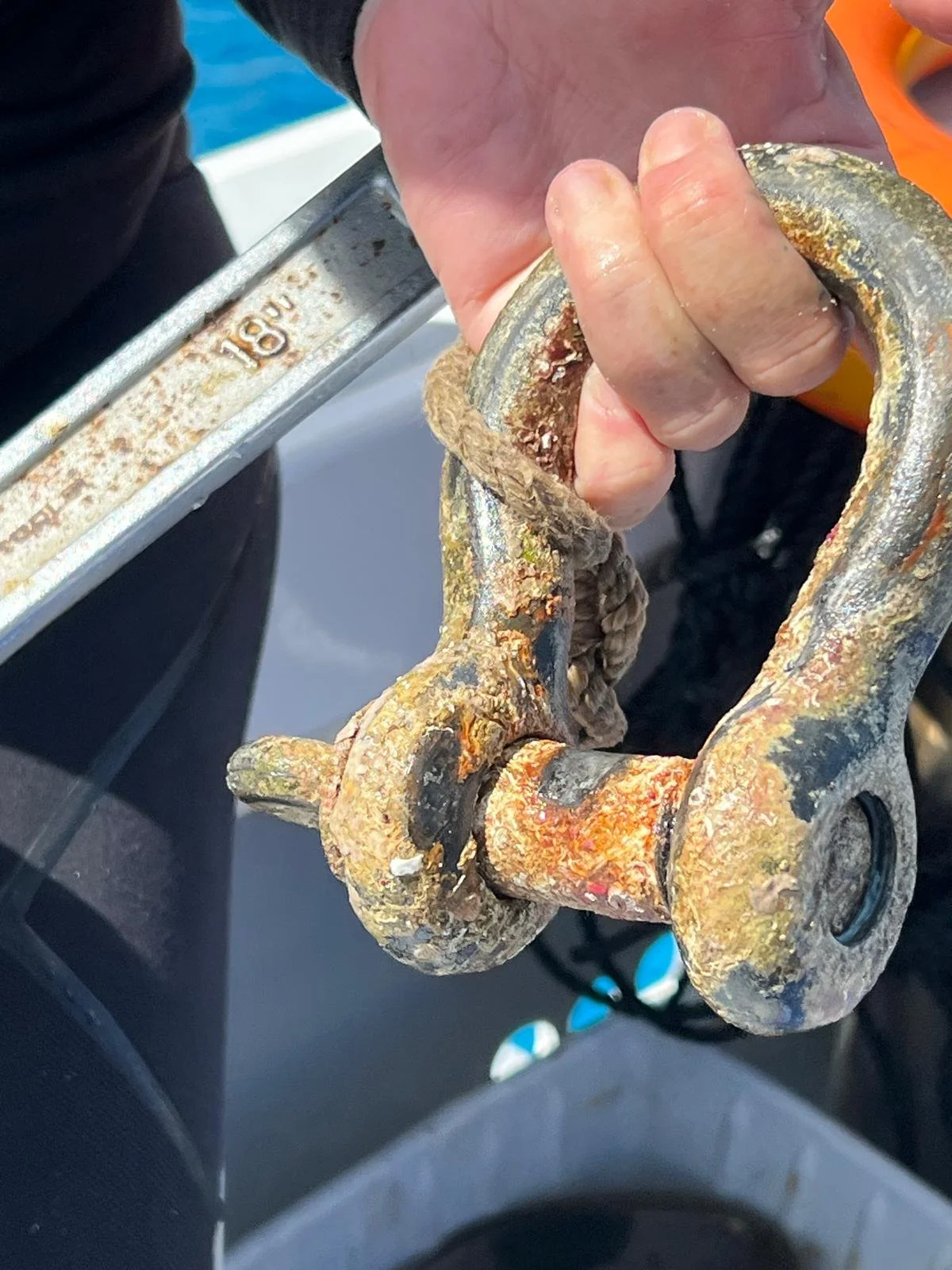 WhatsApp Image 2026-02-22 at 20.24.25.jpeg