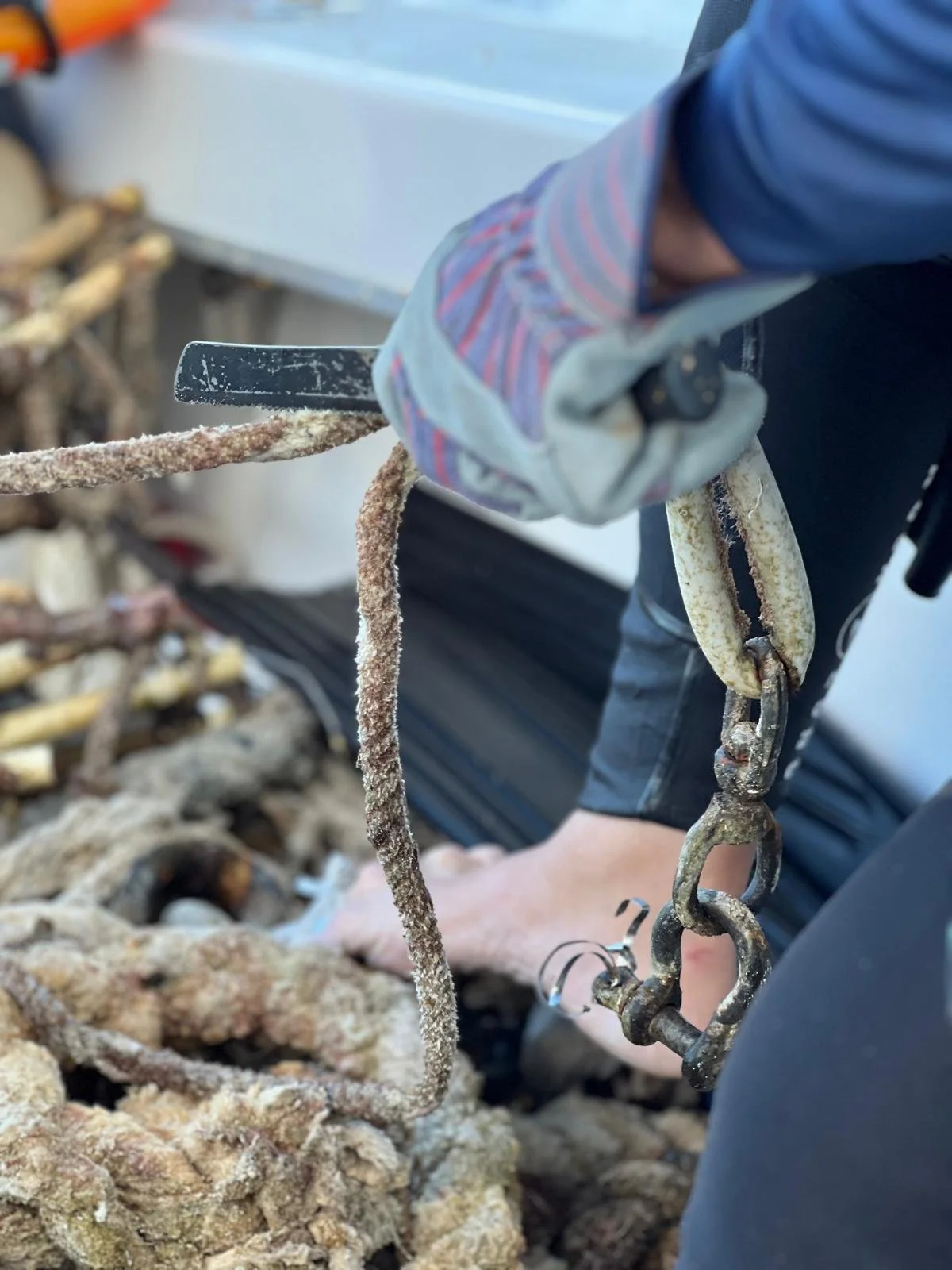 WhatsApp Image 2026-02-22 at 20.24.26 (1).jpeg