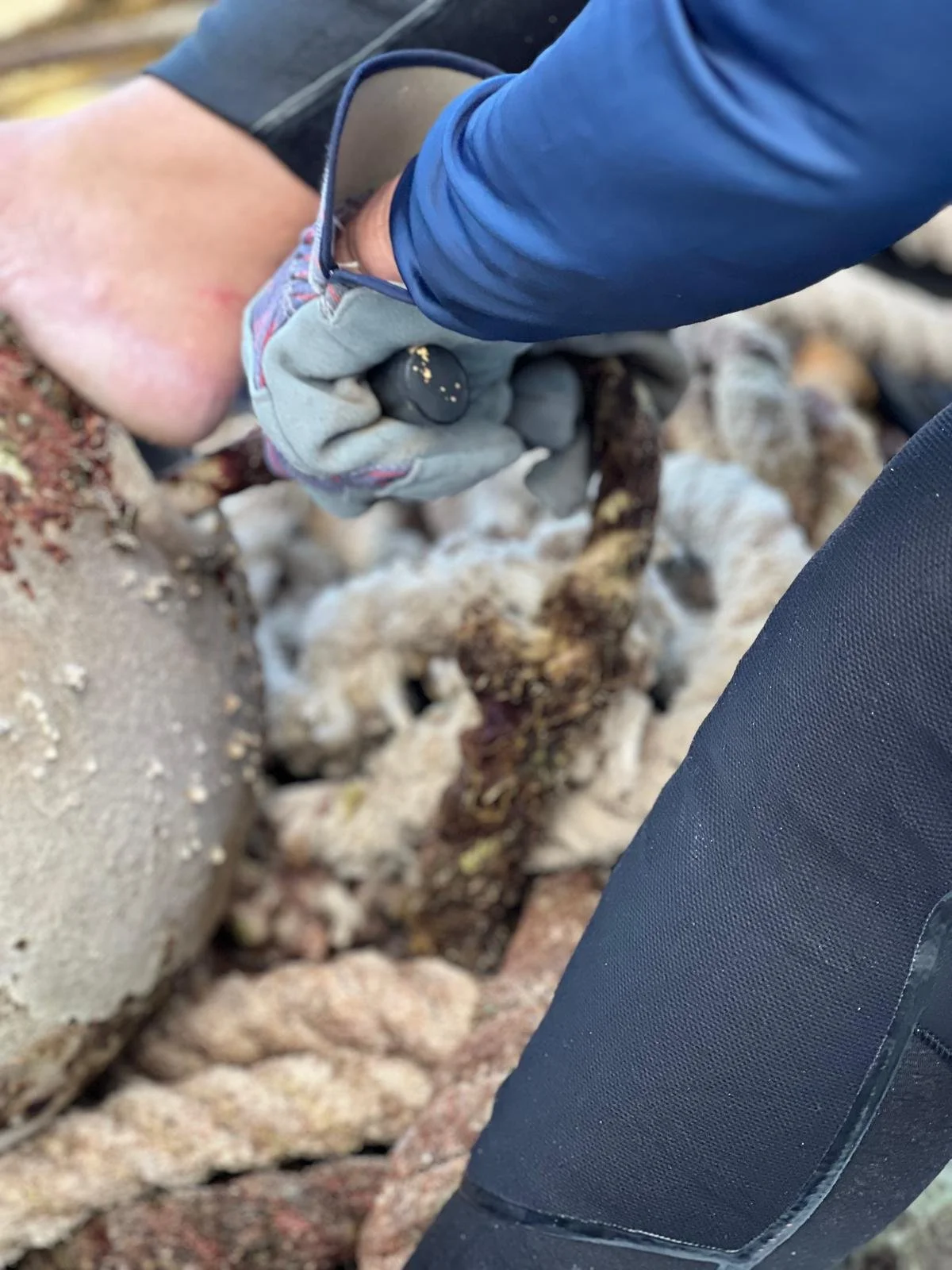 WhatsApp Image 2026-02-22 at 20.24.26 (2).jpeg