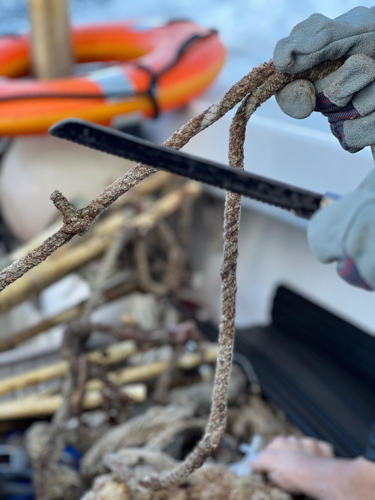 WhatsApp Image 2026-02-22 at 20.24.26.jpeg