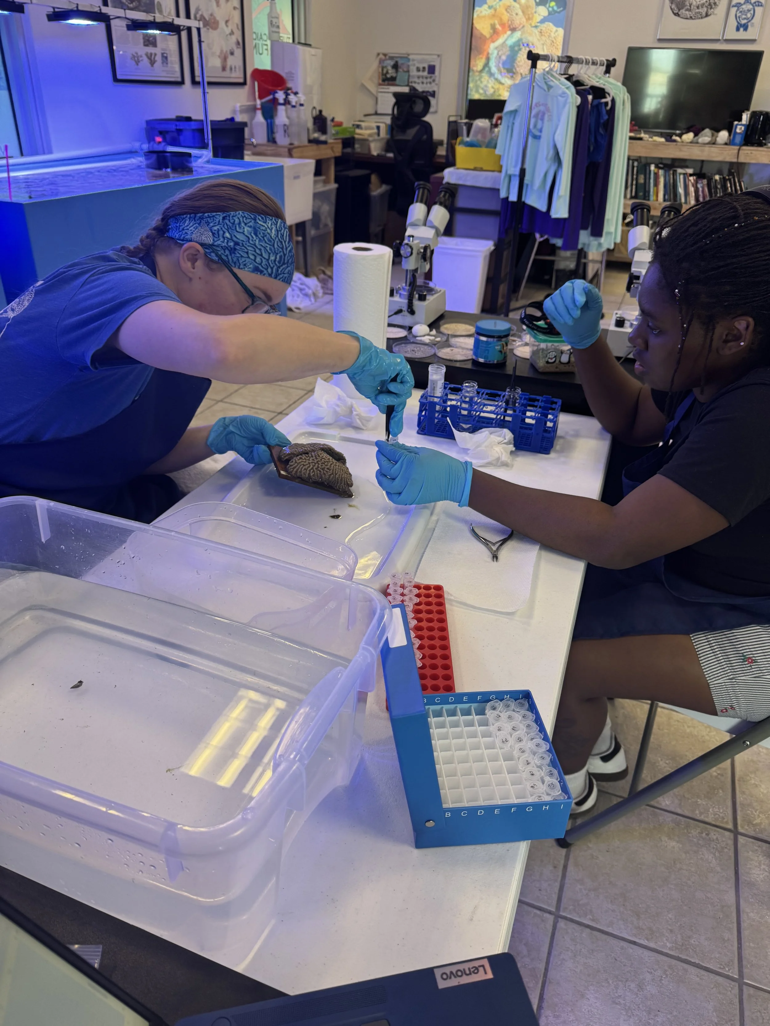 Photo 2-17-26, 10 56 53.jpg