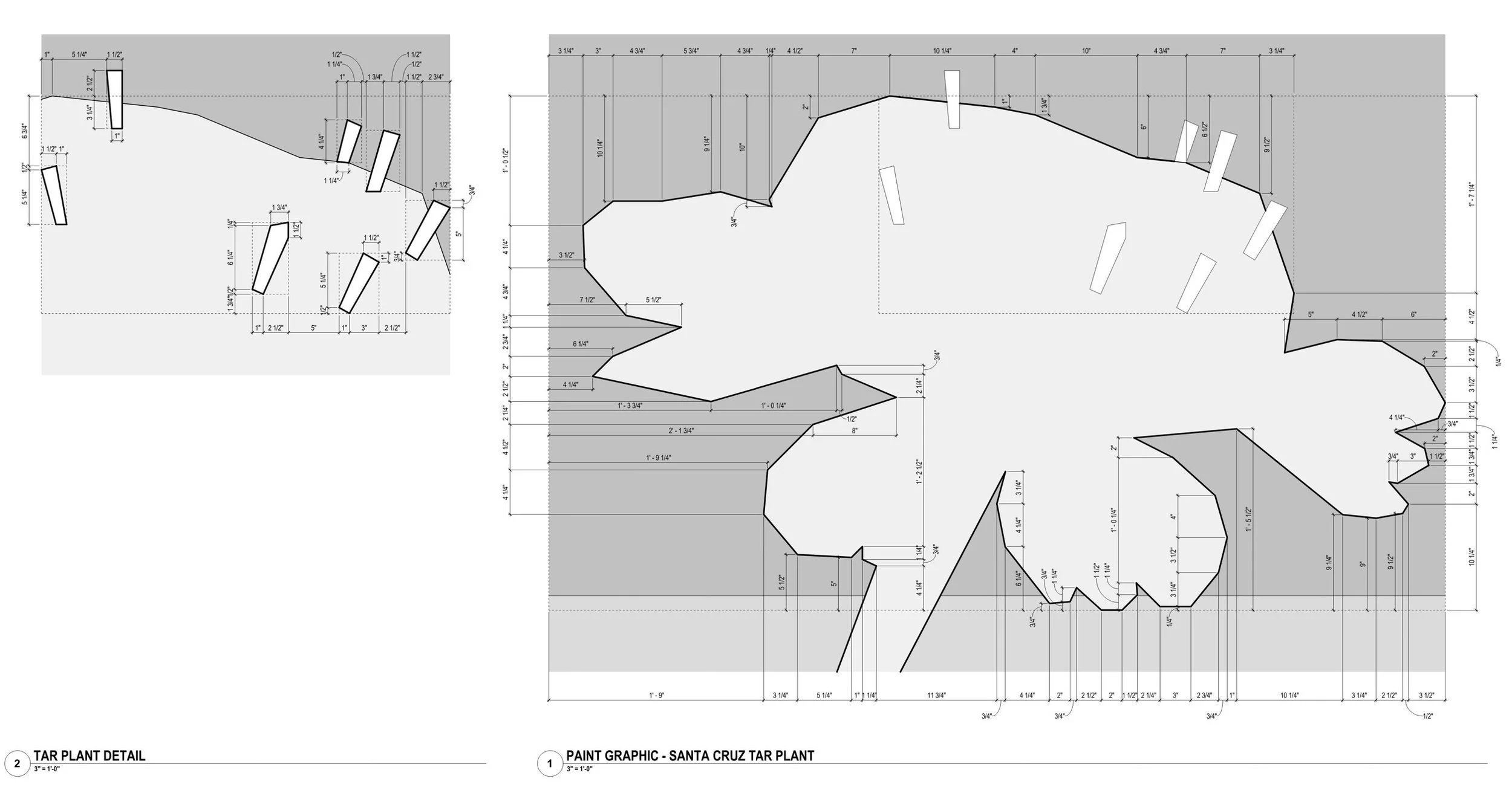 Drawing - Tar plant.jpg