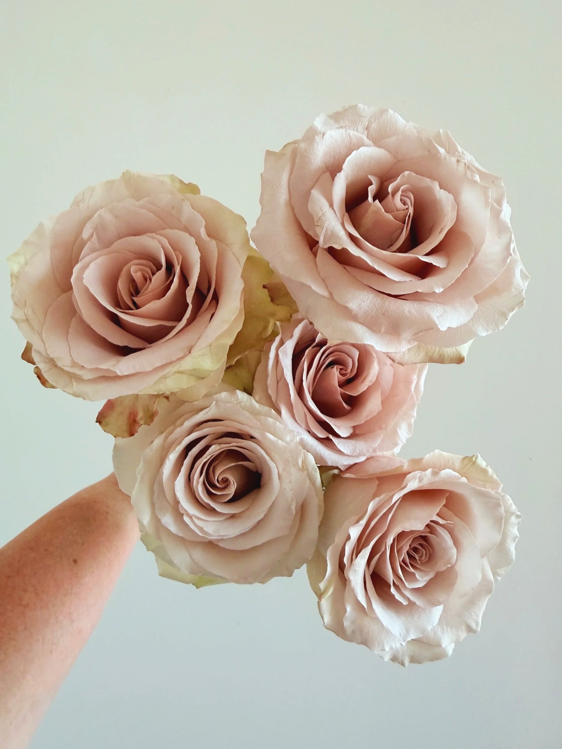E04C6530-8F42-4CB0-B05D-051134E8B2BD.jpg