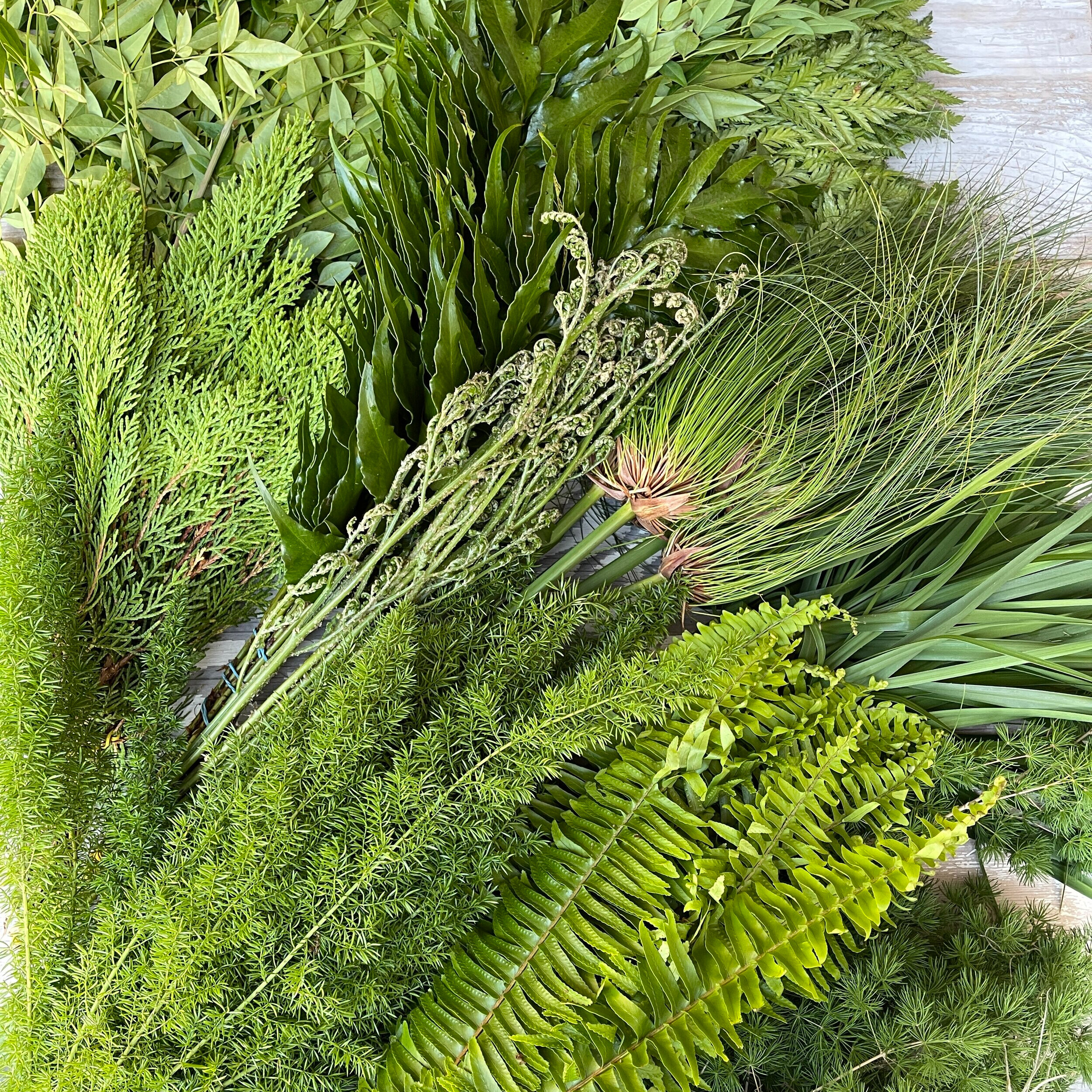 Greenery Box - Unique Mix