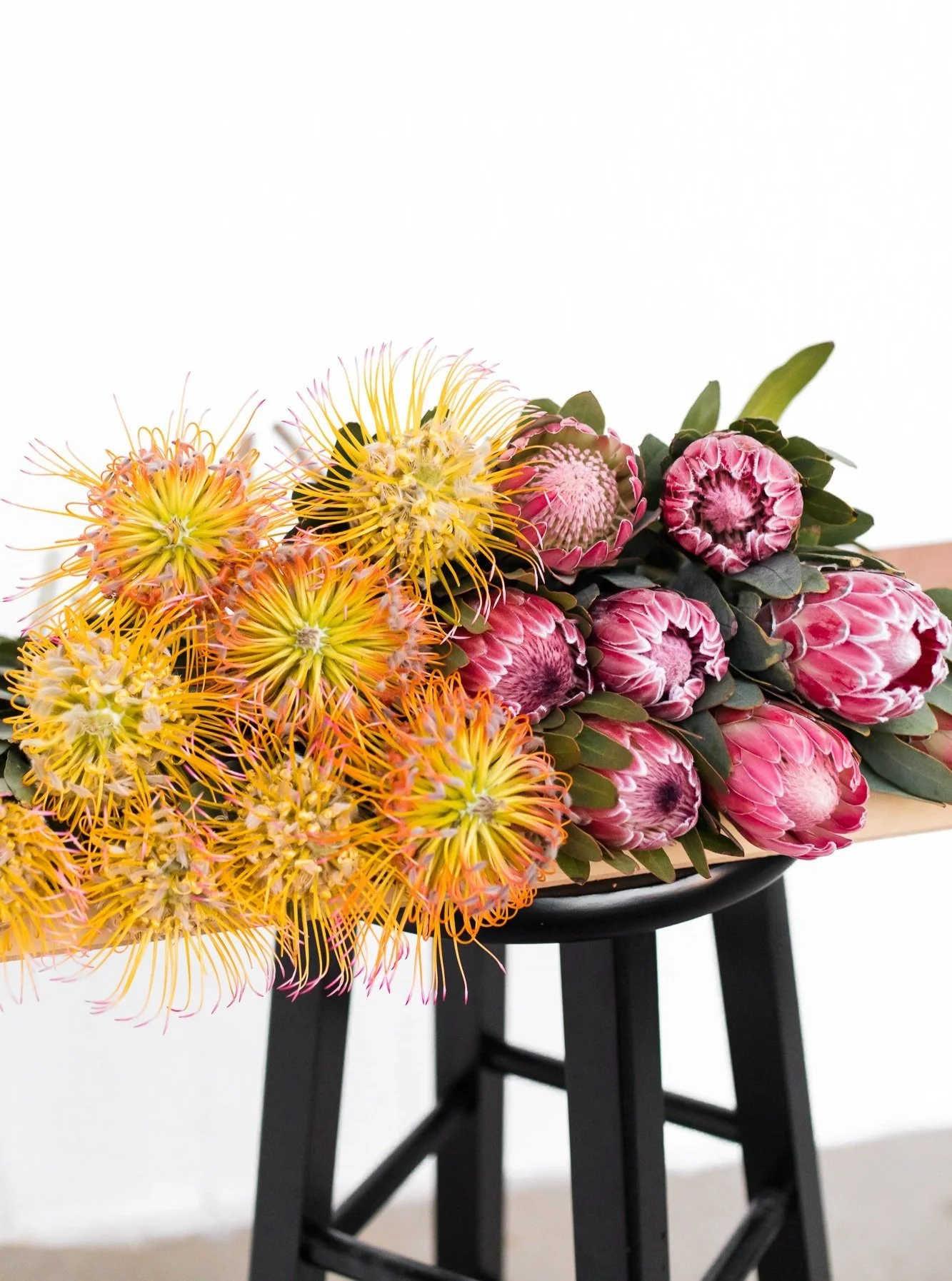protea-pincushion2-bethcaldwell.jpg