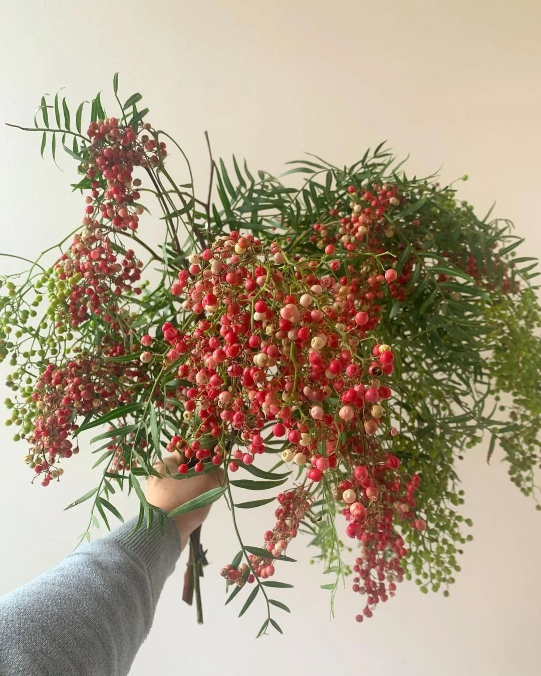hanging-pepperberry-camflor-brigidcrowdrey.jpg