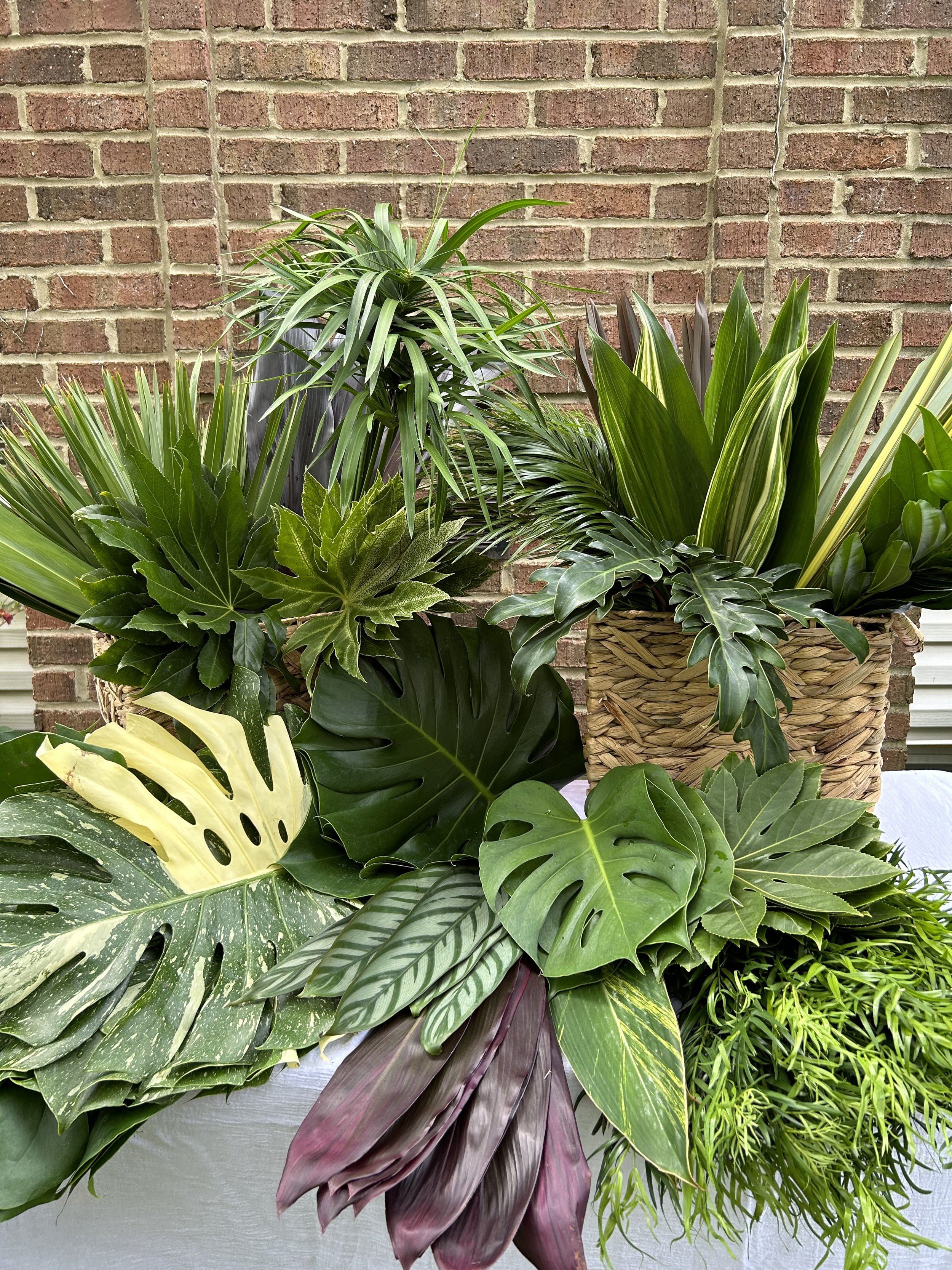 Tropical Greenery Mixed Box