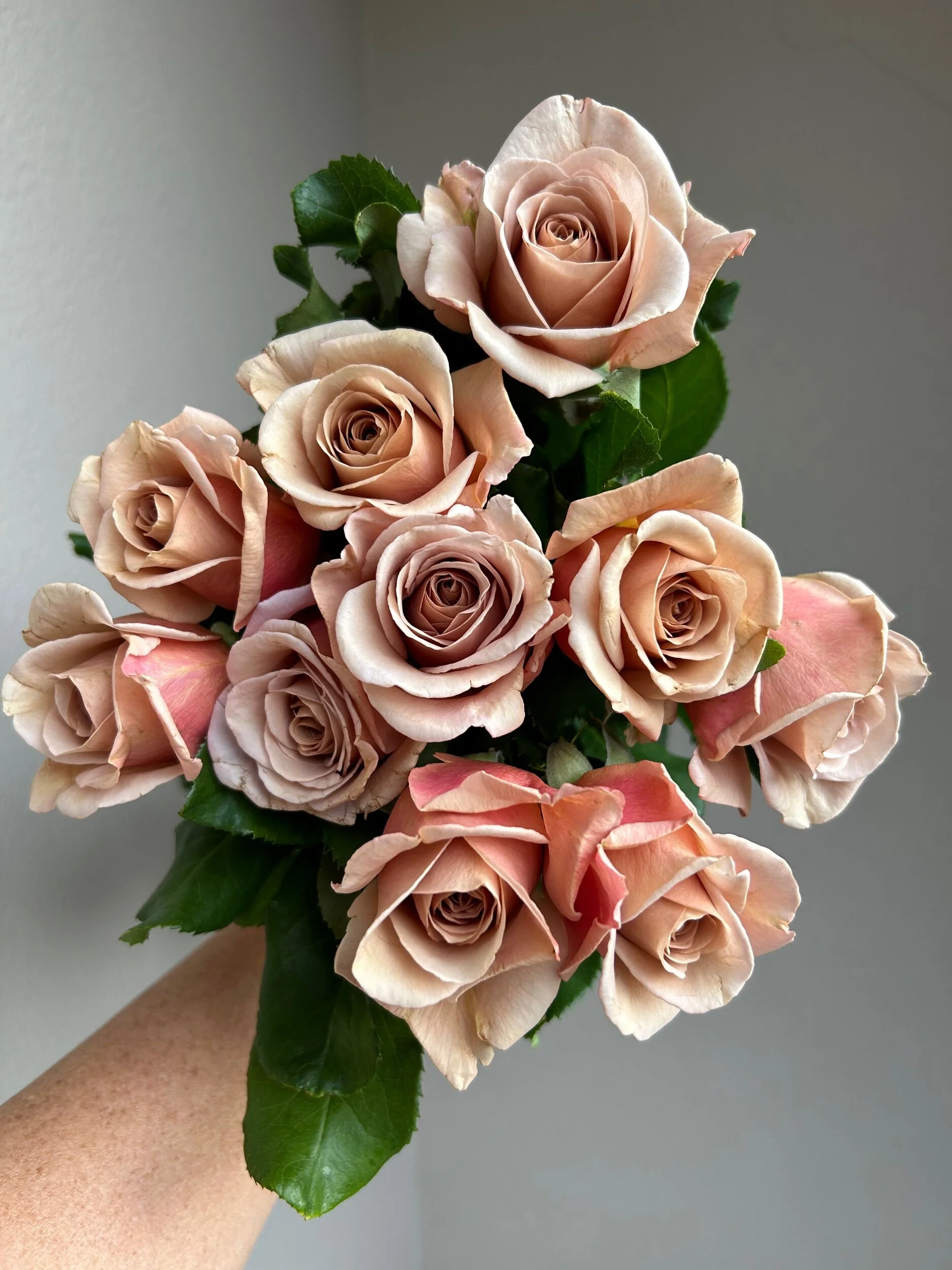 1C7FDFCA-9445-45EB-93C3-1D7F950CD2FB