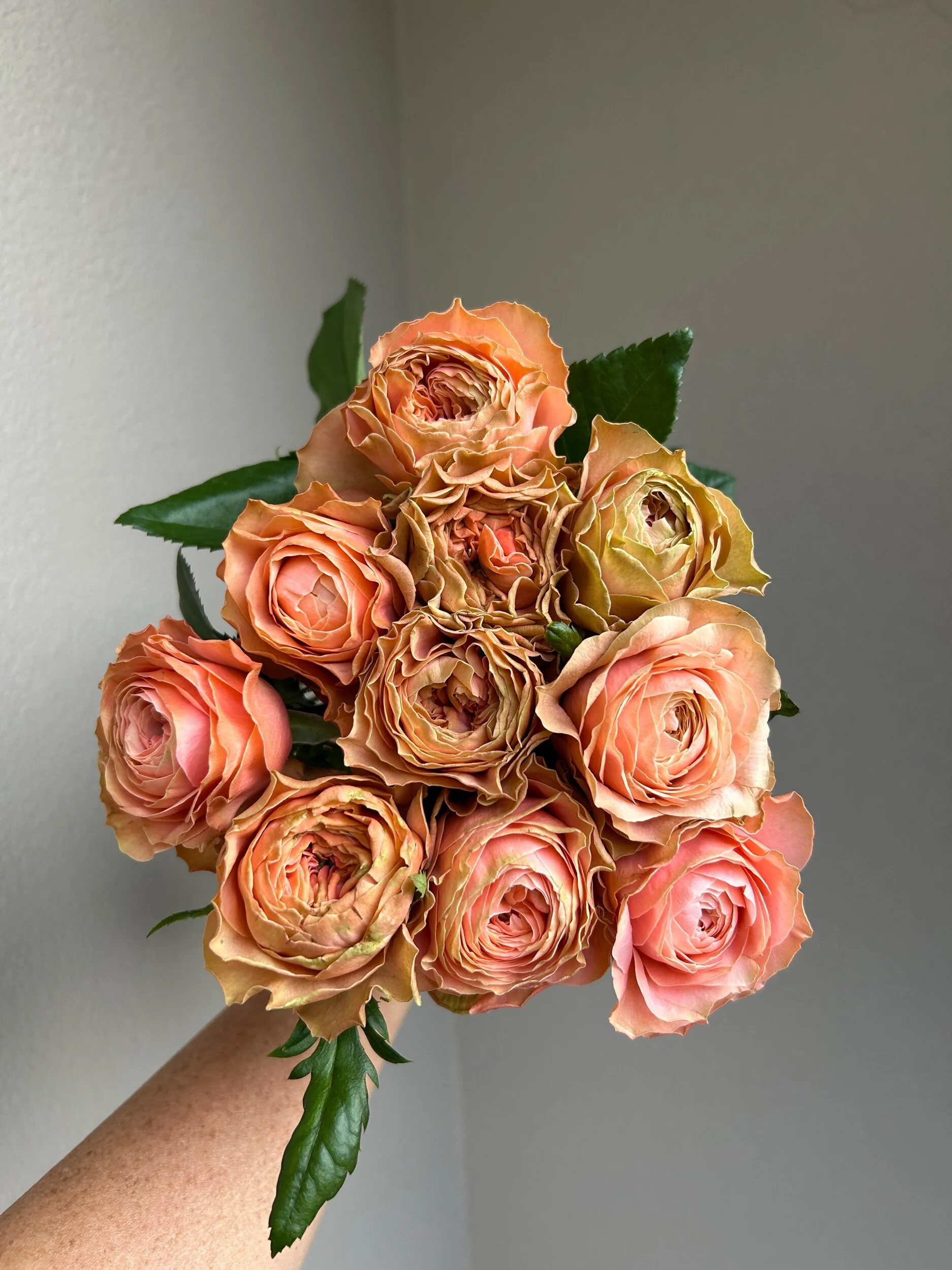 1756ECB6-7067-4A66-B0E6-456A3AC80DDC