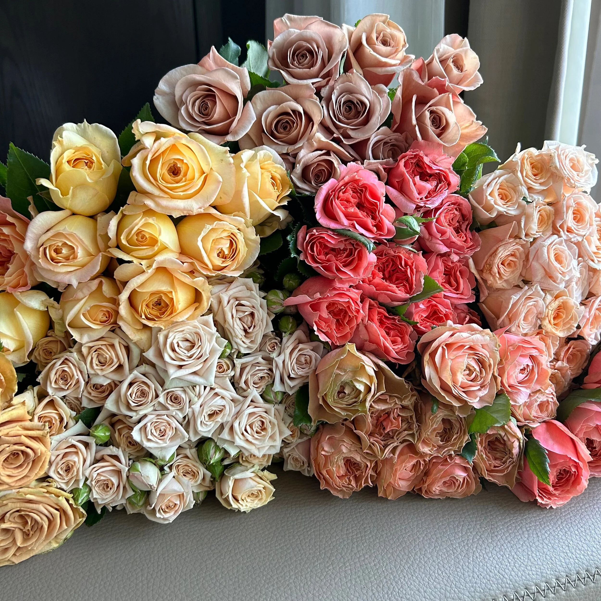Rose: Oregon Mixed Rose Box