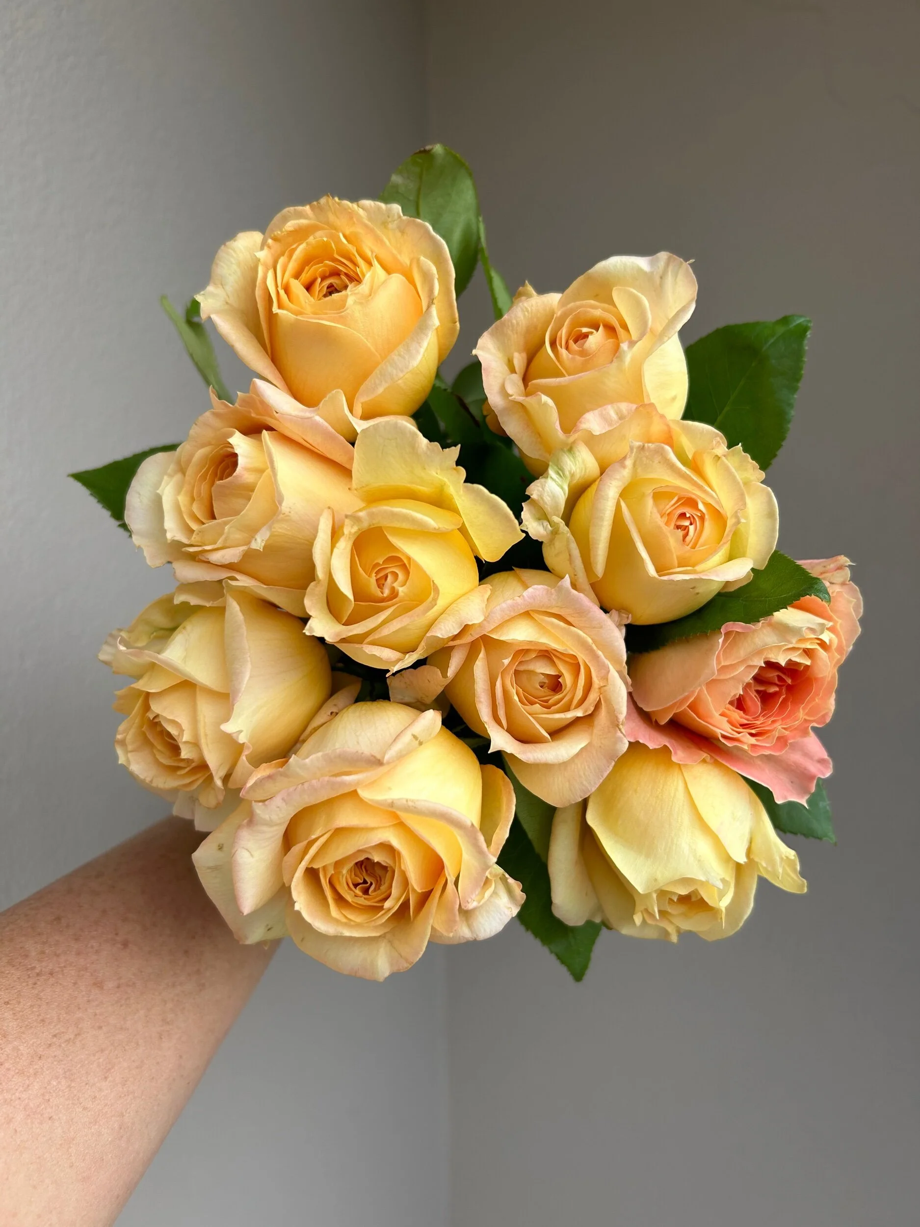 774513DA-0C04-4DA8-A4E1-EE3623A42FD9