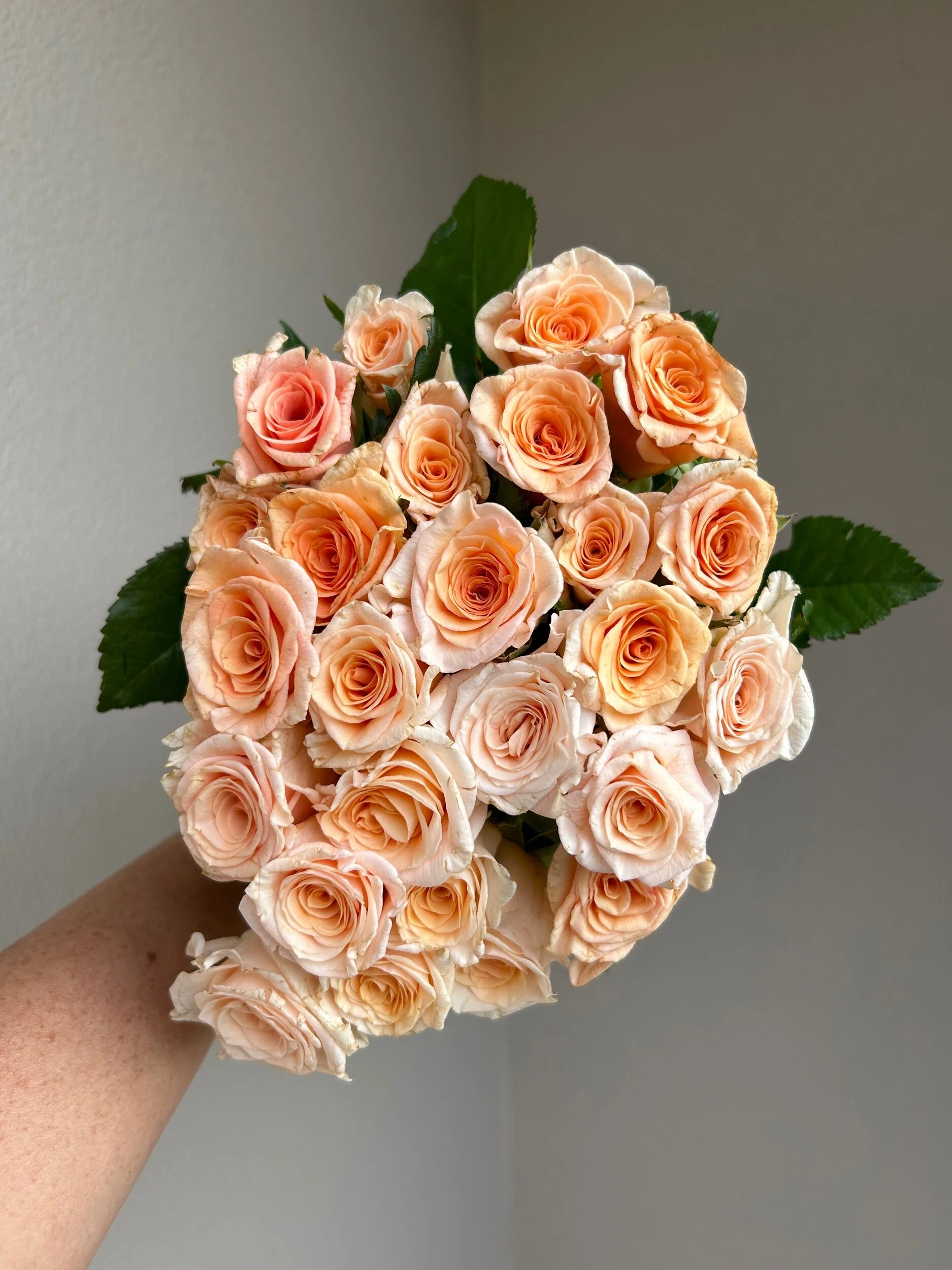 8FDDD930-4BAC-4E26-928C-E1EAE8624D46