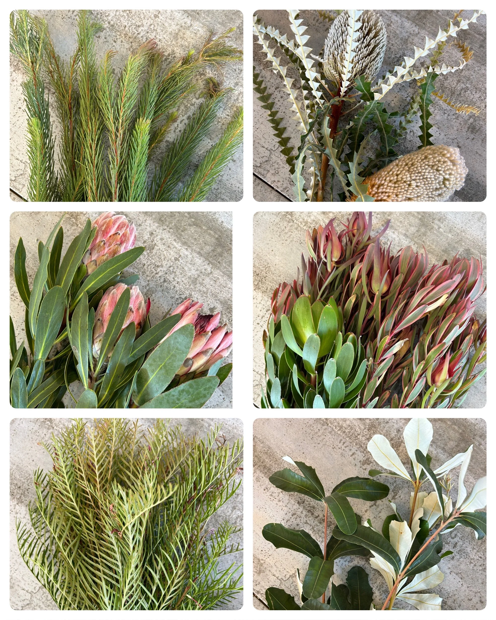 Mixed Box: Fall Florals