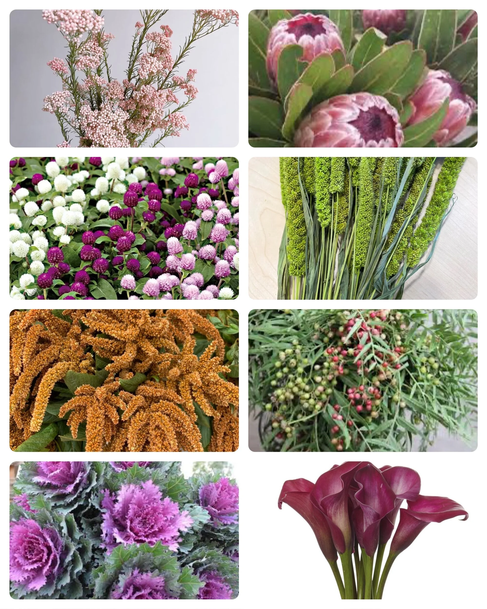 Mixed Box: Fall Mix 2