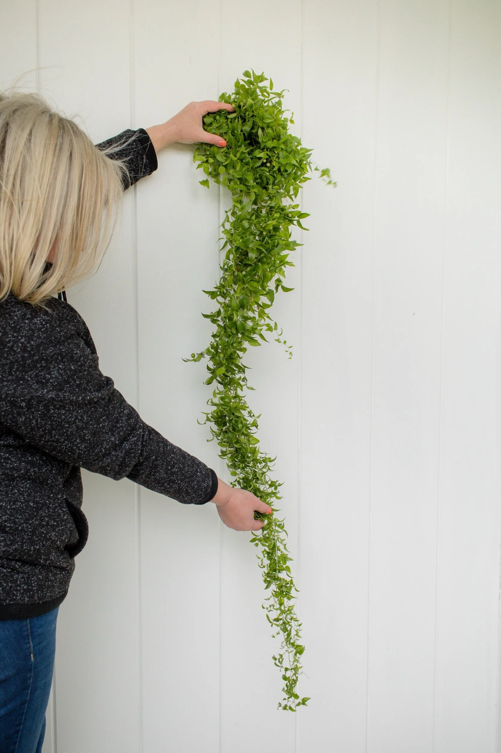 9670C651-6C4A-4E77-B0C4-A46F46422DFE