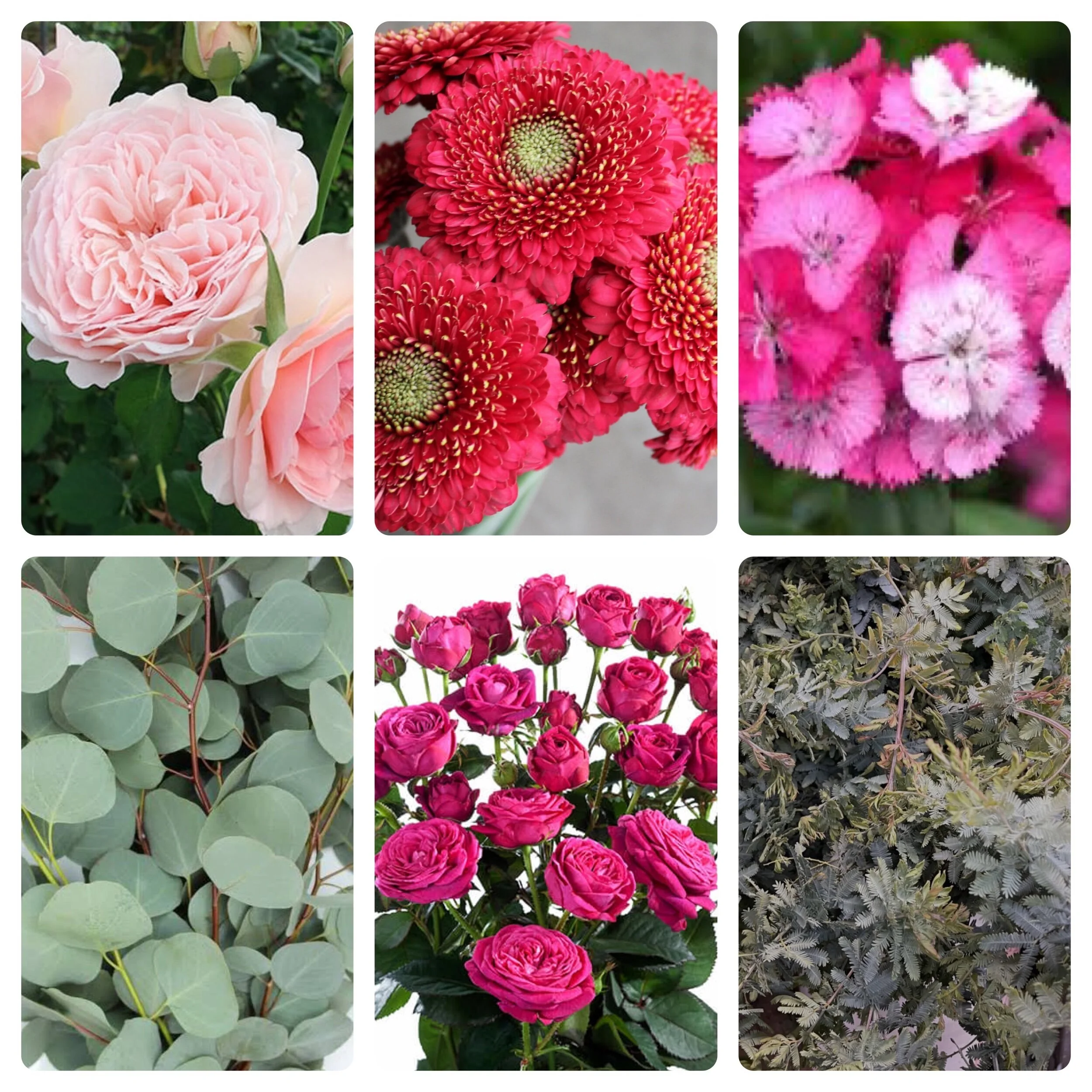 Mixed Box: California Florals