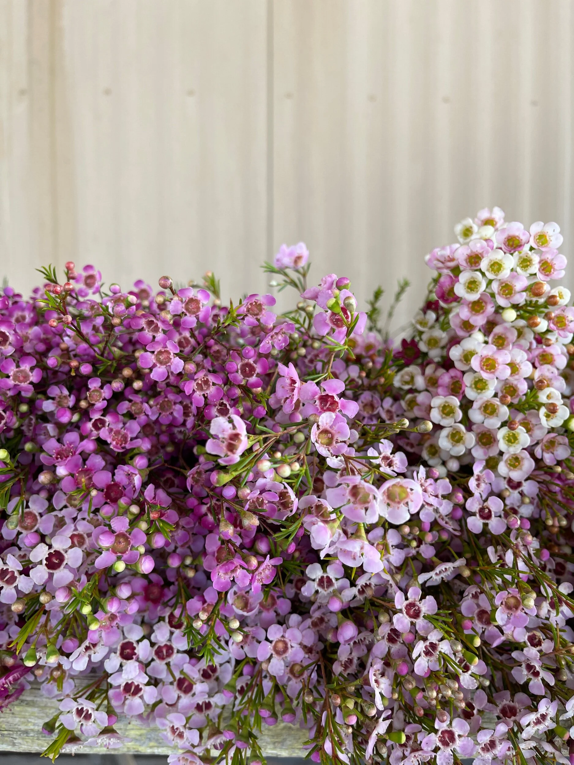 34A906D3-E40E-477B-BC56-2DF30B18C8A2