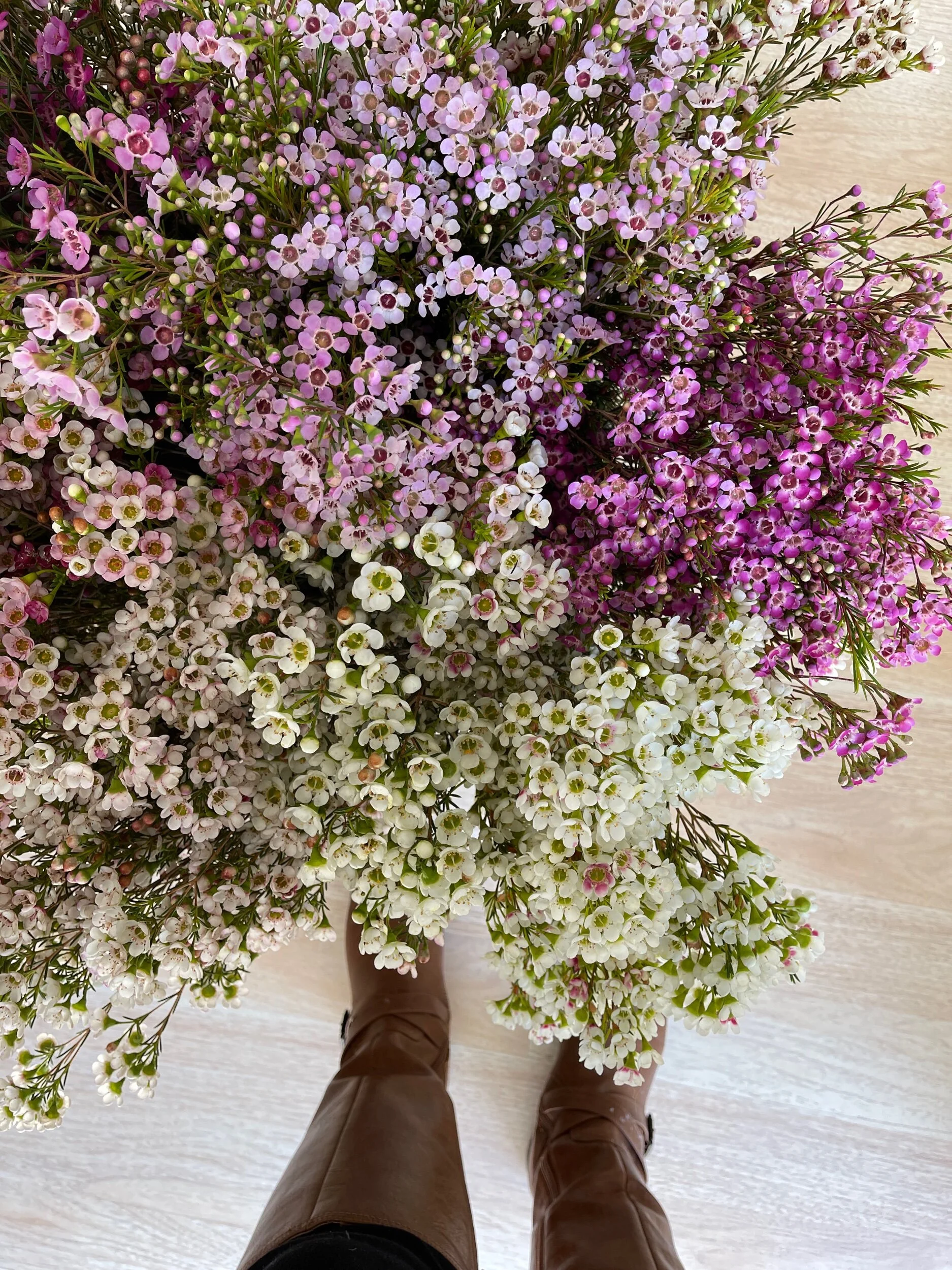 A4CF28B5-3DC4-4C97-9B34-C2F9F6A60837