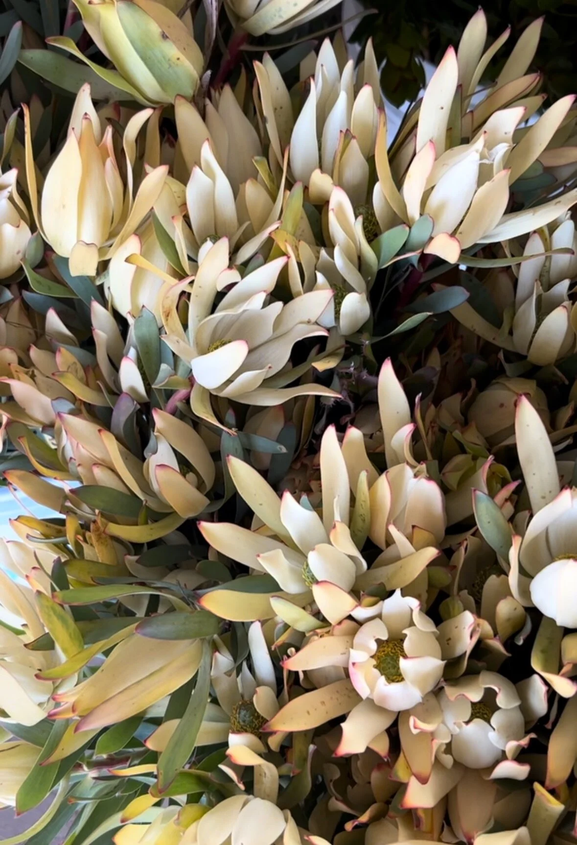 E83B9768-FF4B-469E-A75B-497C3AFB787F