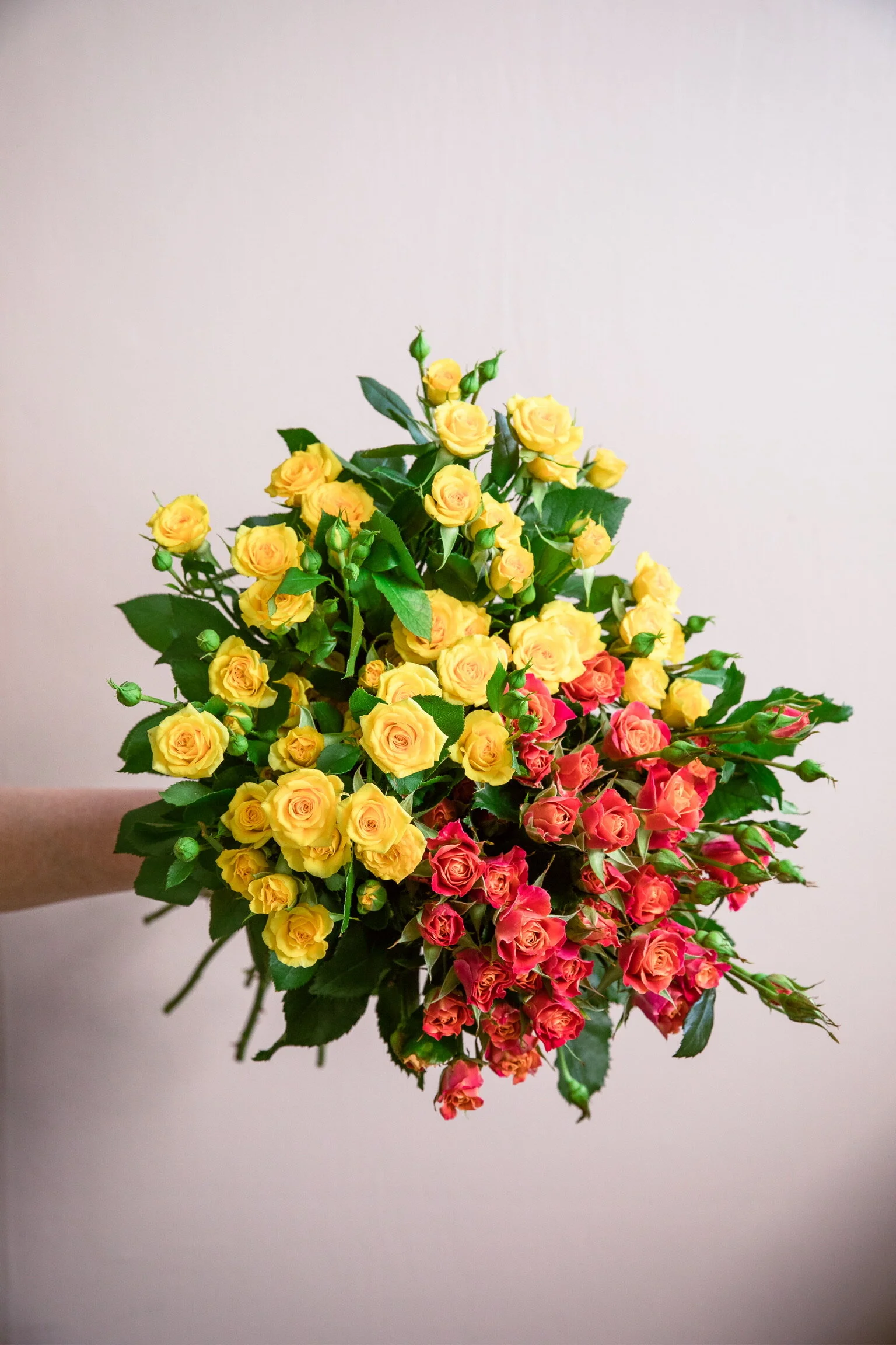 31BC742C-90F7-4CCE-ACF4-68E8BB990E15