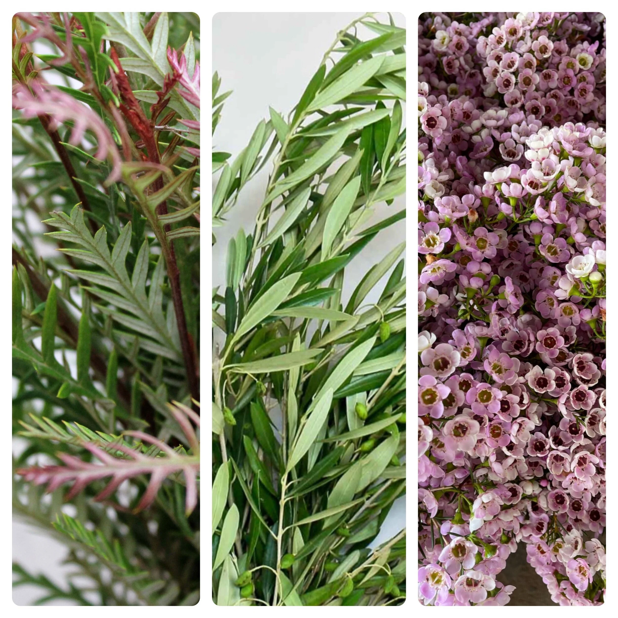 82087070-FC17-4B4B-AC8A-111AC3965230