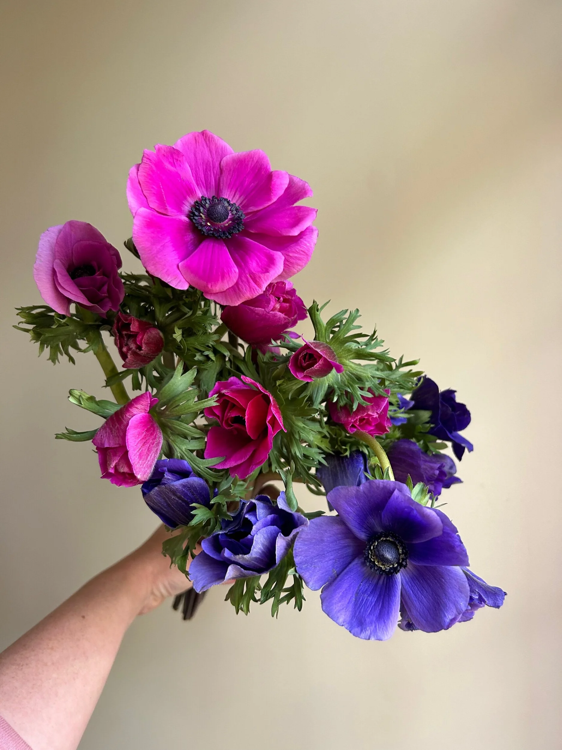 C5C536BC-4178-4943-86DD-34AFC4A3A815