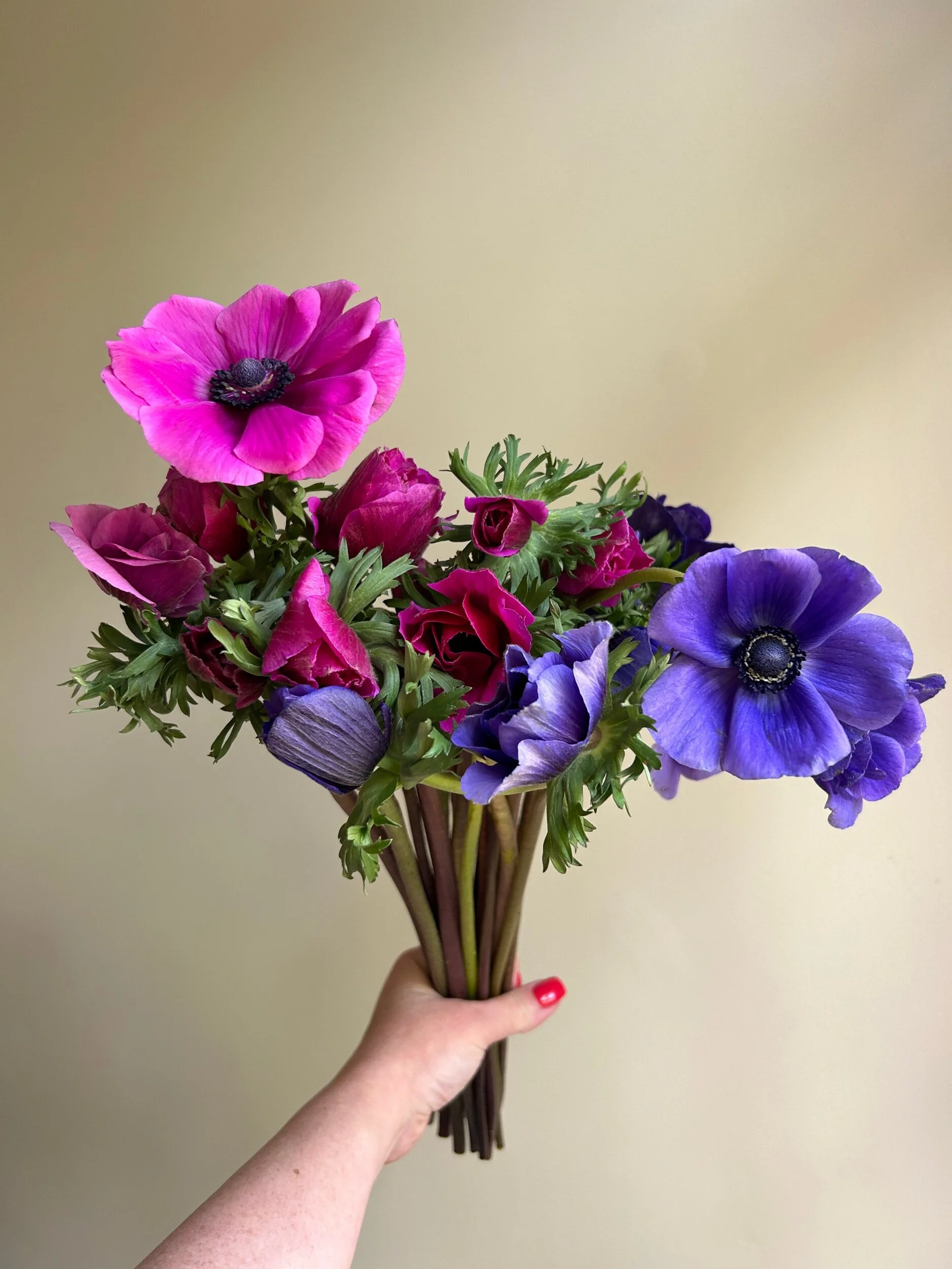 D15602BF-5875-4EB3-B7D3-F010BDE4BA77