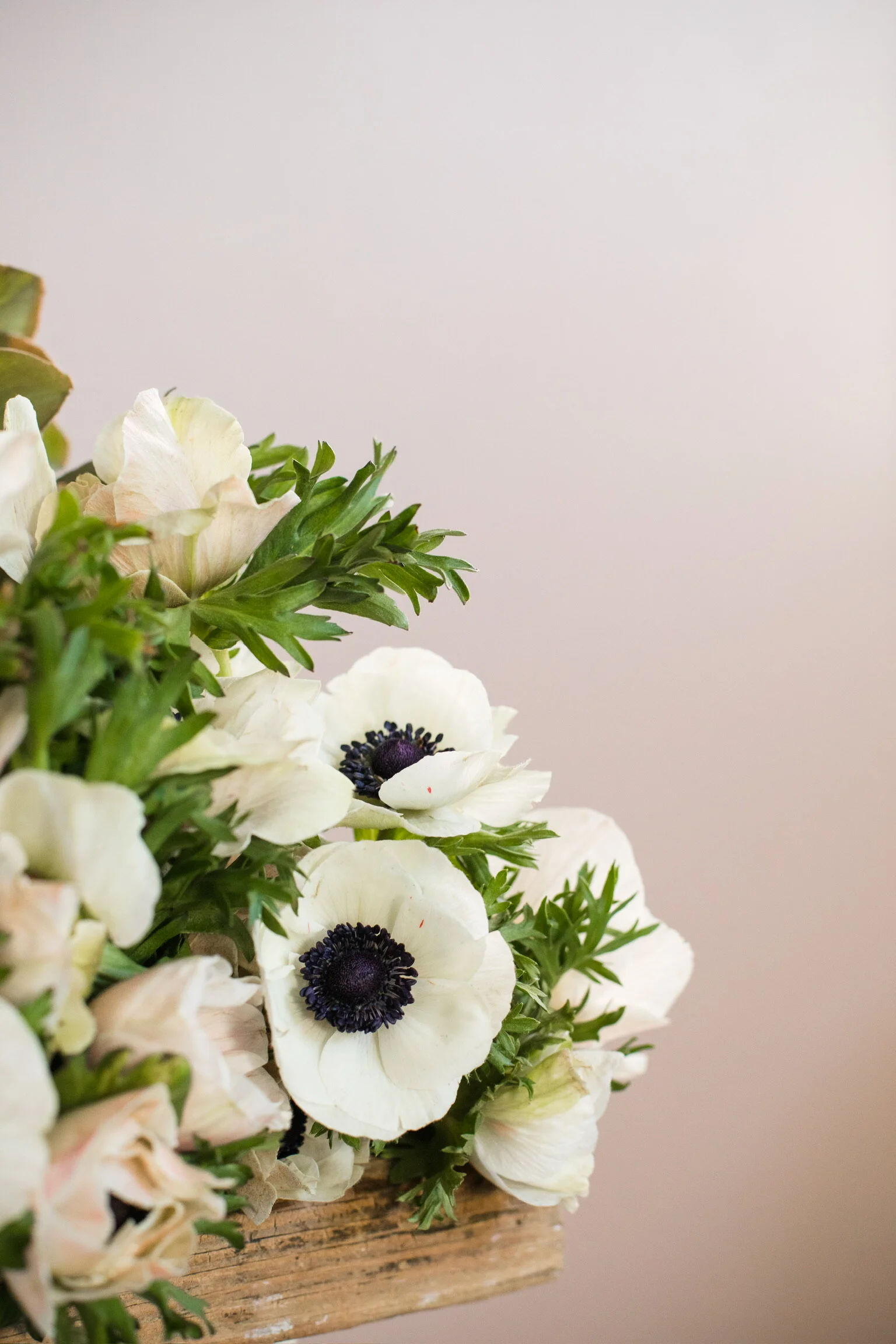 96CF2423-48A3-4466-BFE4-44C9A695AF1F