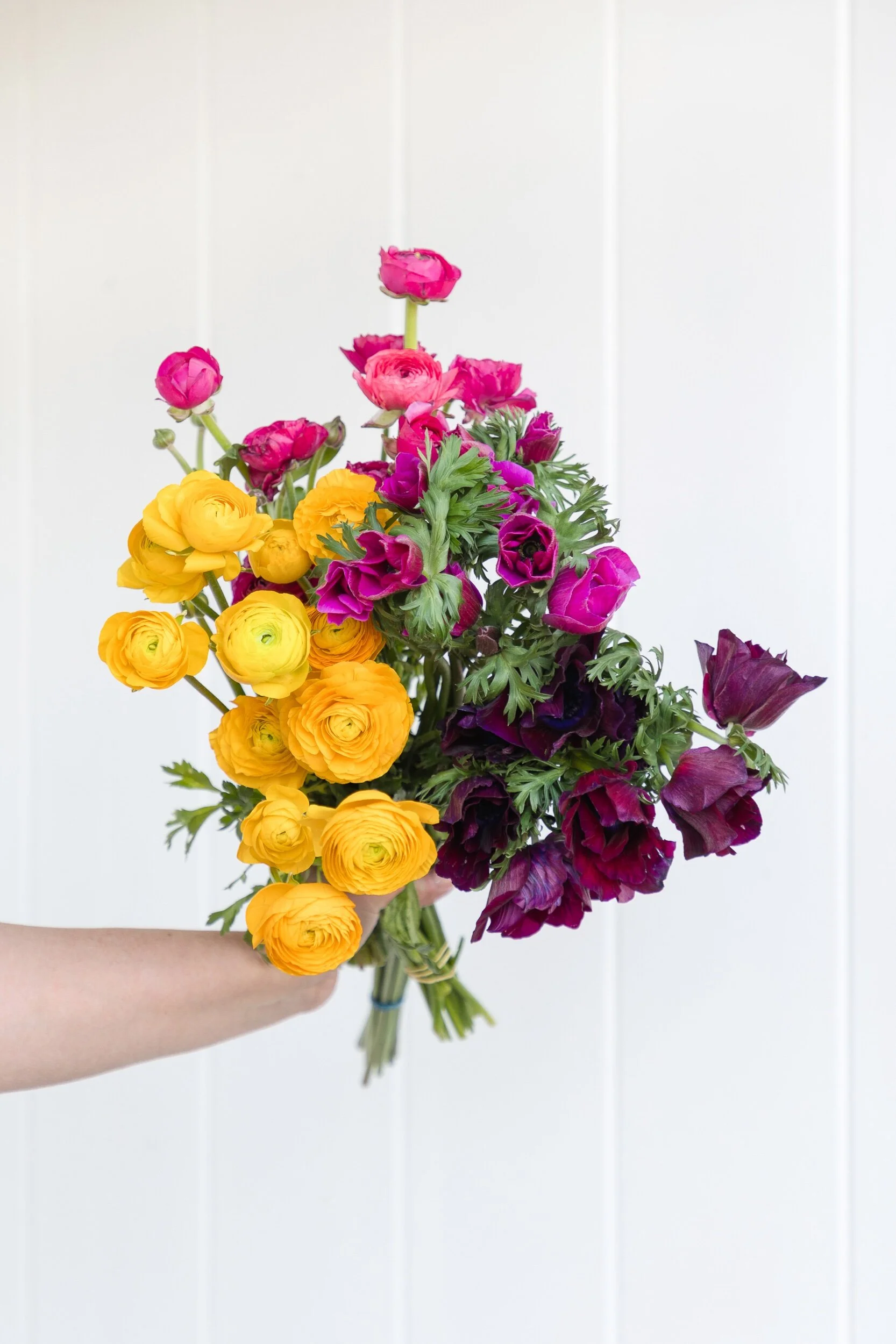 Mixed Box: Anemone & Ranunculus