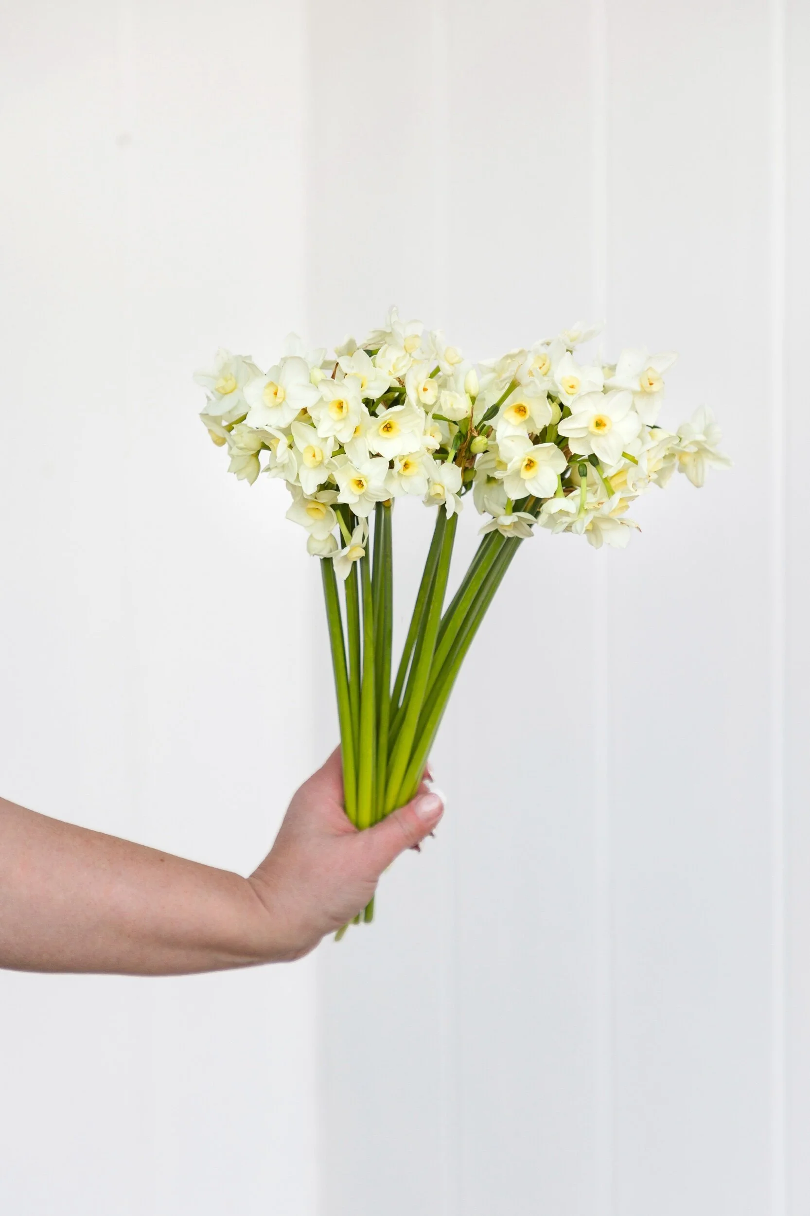 E6ADD11D-B852-4B9B-875D-0FAC27991E4D