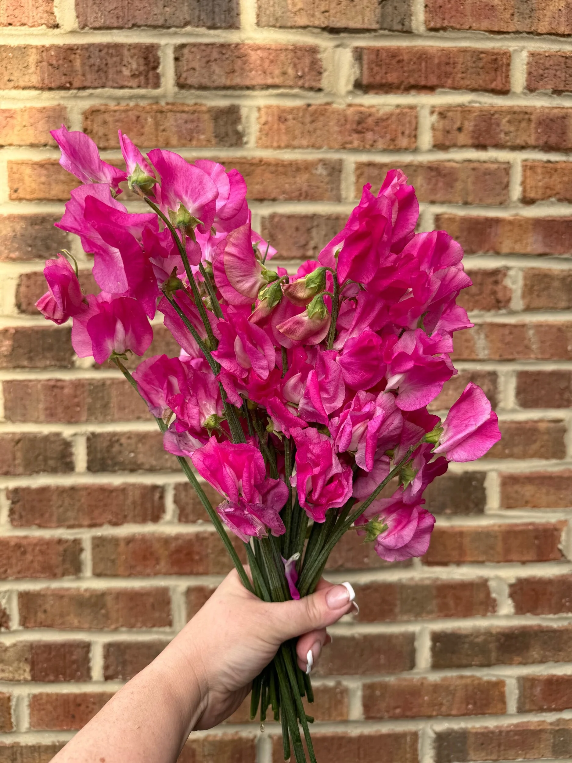 EA212096-C9F2-4013-9C95-FF557A75D656