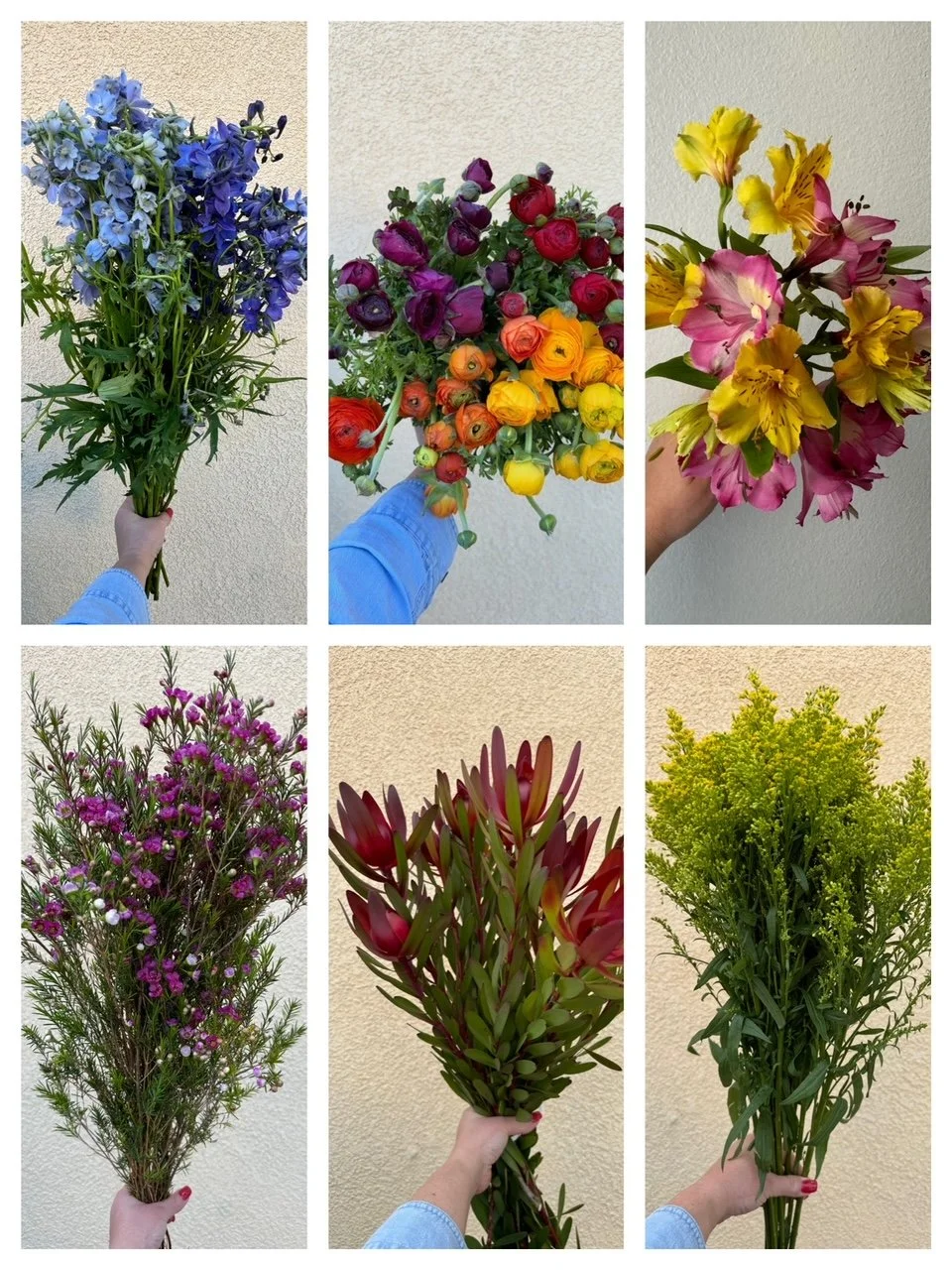 Mix & Match Spring Mix Box