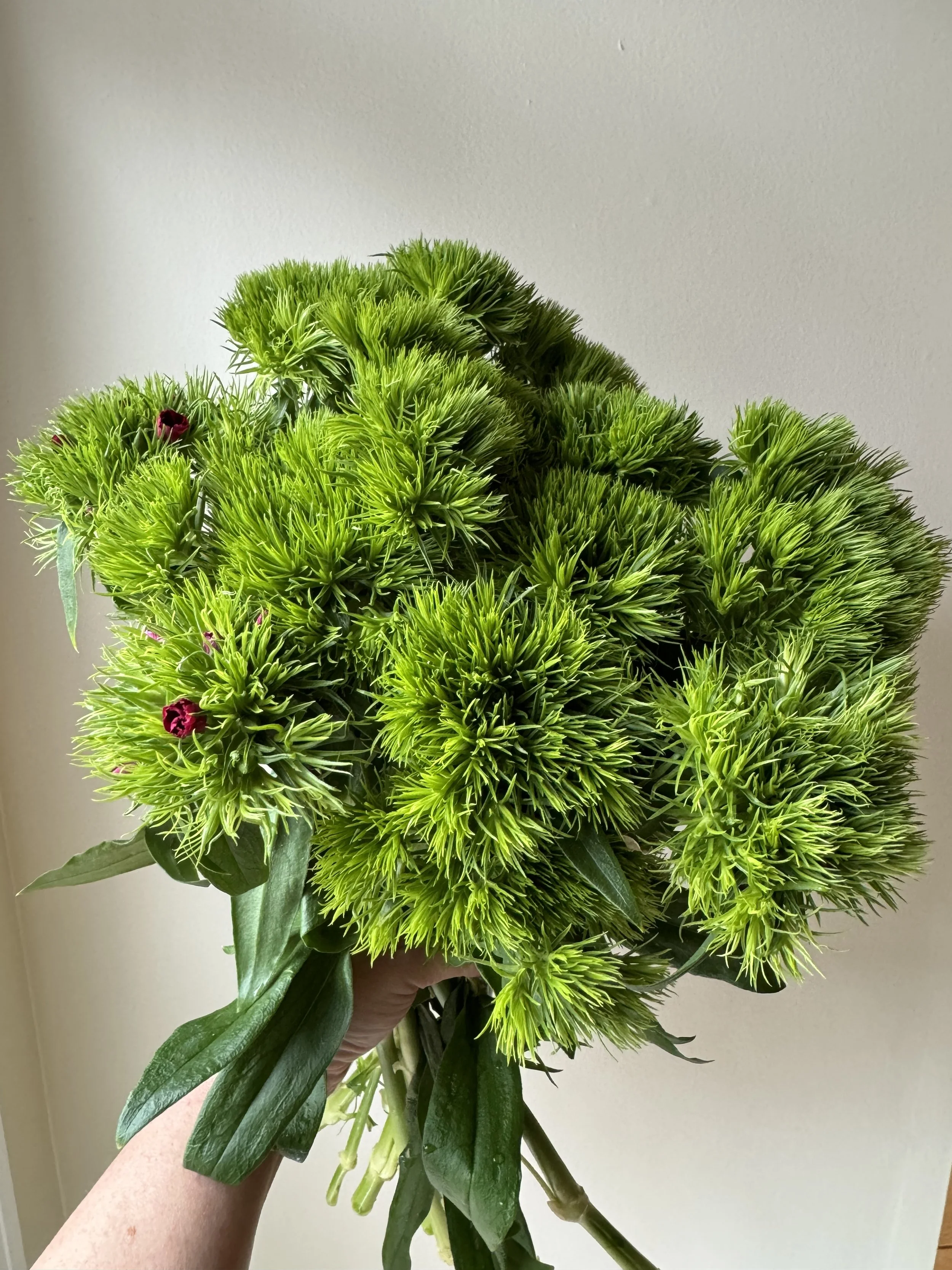 Green Trick_4841.JPG