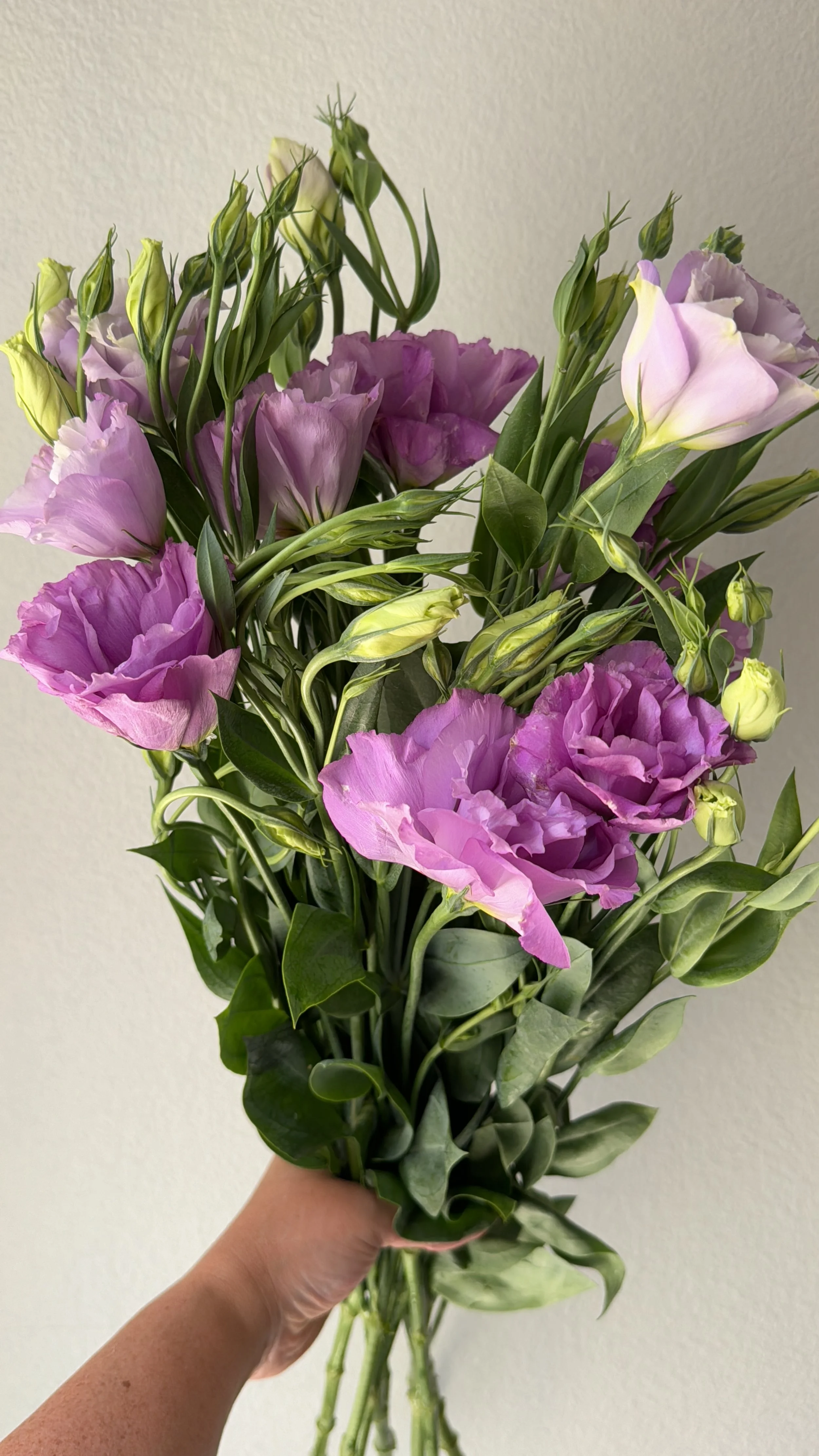 lisianthus_9105.JPG