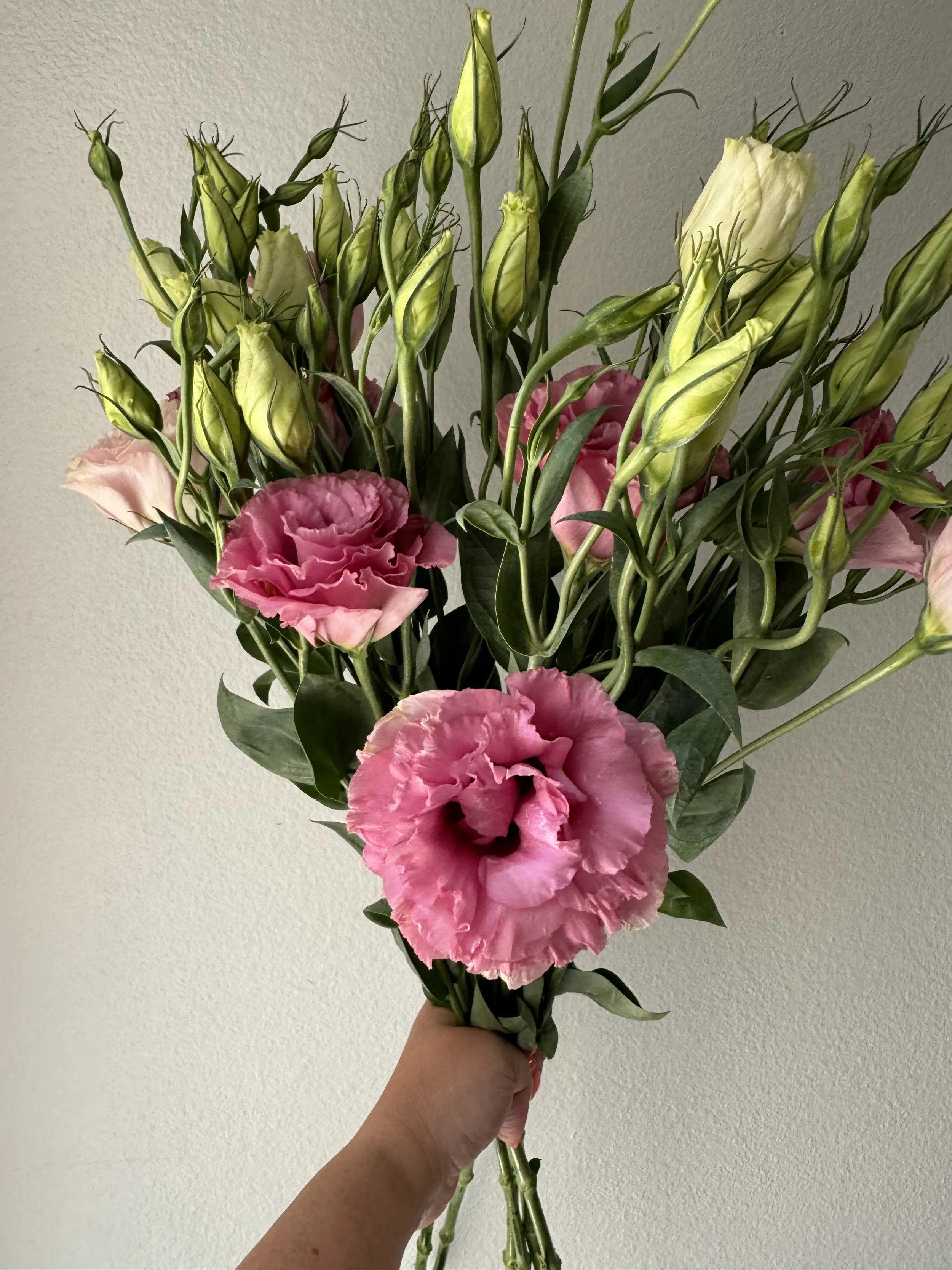 lisianthus_9090.JPG