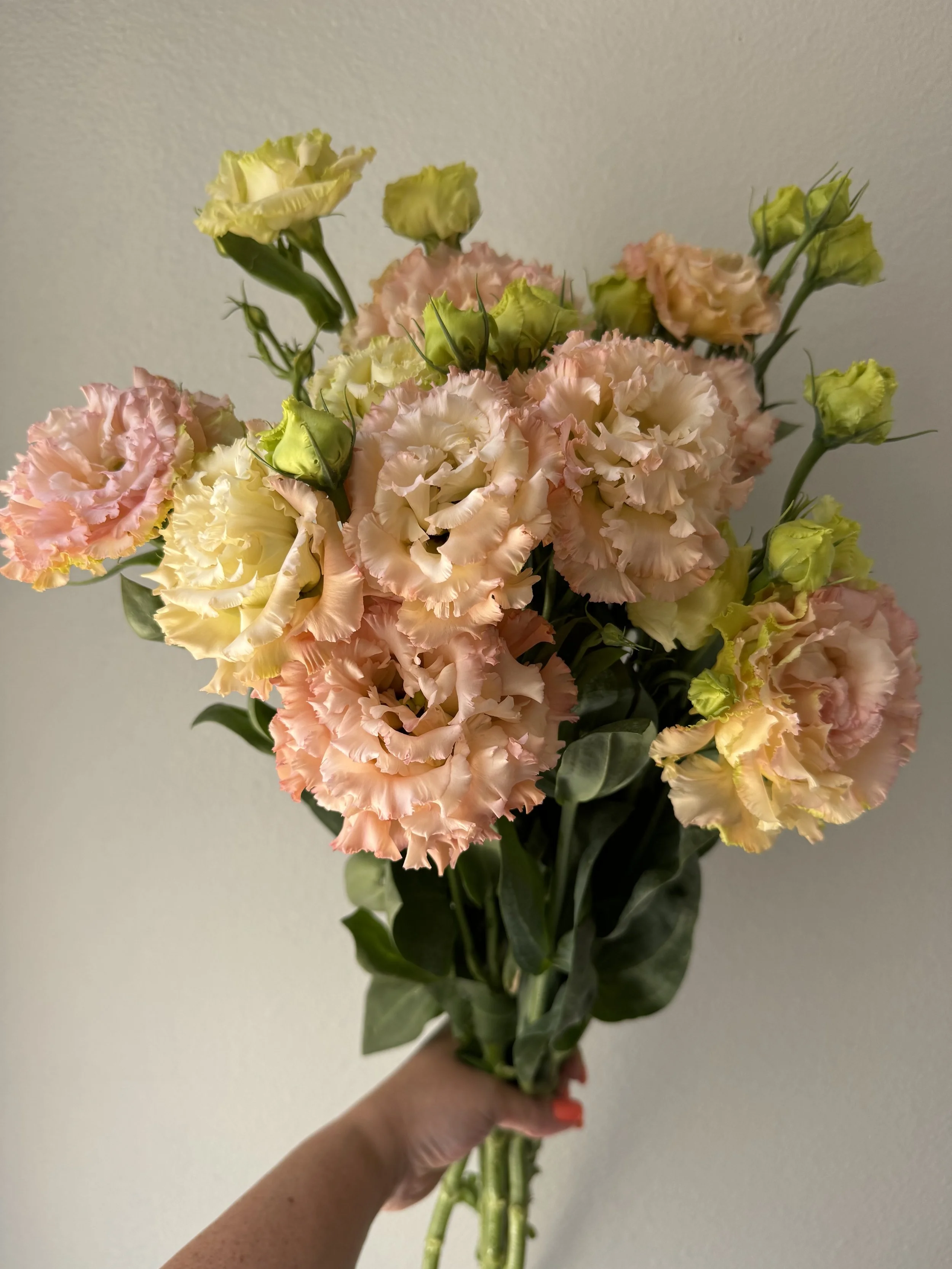 Lisianthus_9085.JPG